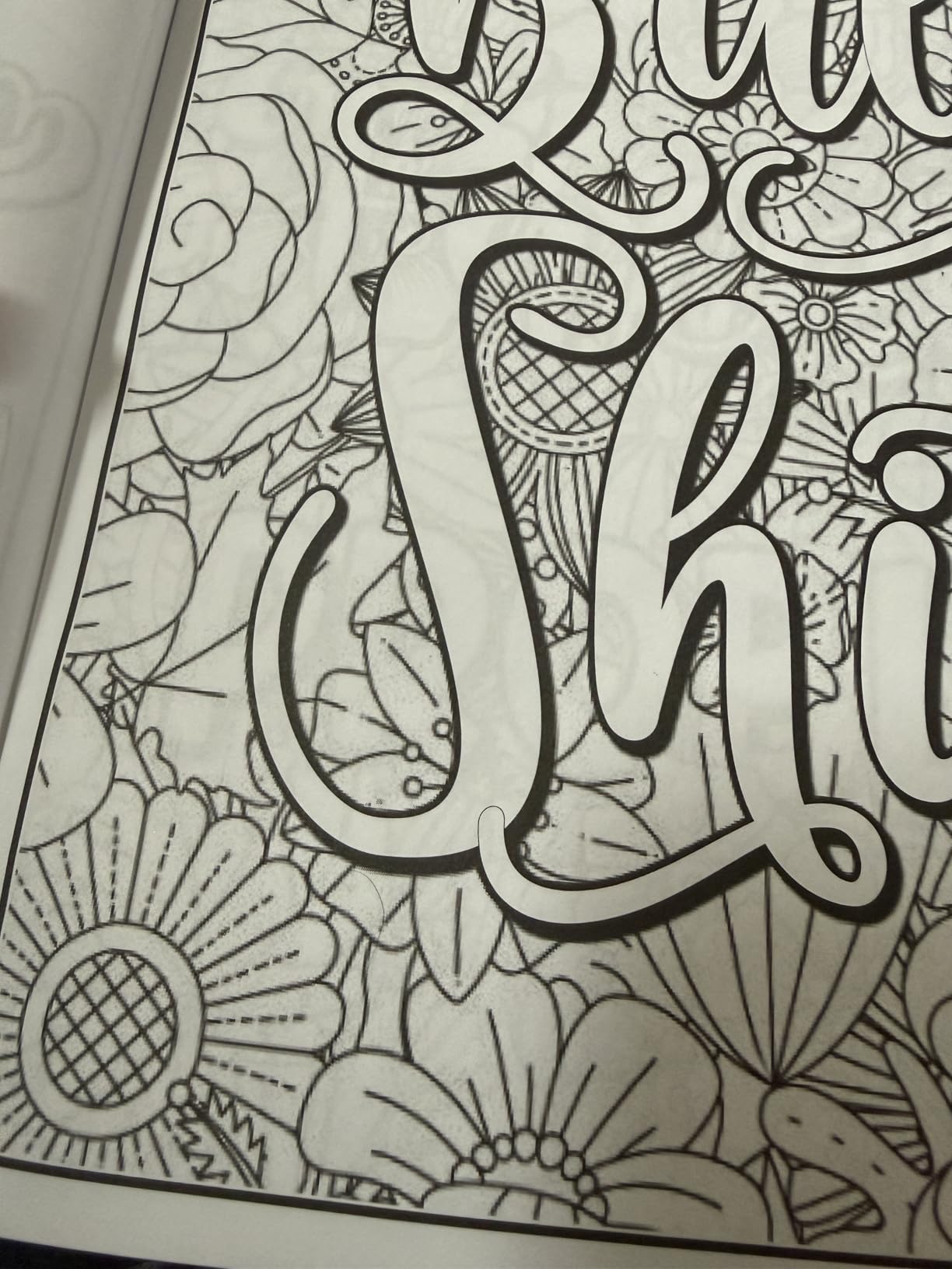 Adult Swear Words Coloring Book: Live, Laugh, Fuck Off: Swear Words Colouring Book for Adults | Sweary Coloring Book for Stress Relief and Relaxation | Adult Coloring Book Cuss Words customer photo 1