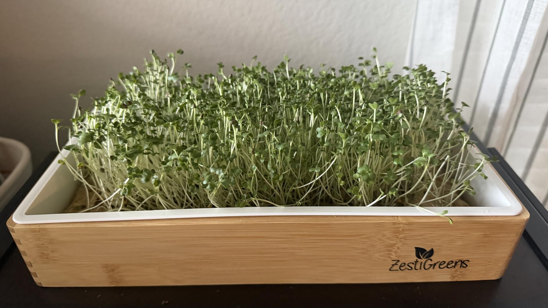 Microgreens Growing Kit - Self-Watering Bamboo Grow Tray | Includes tray, seeds, mats and bamboo surround for easy indoor no-soil microgreens growing customer photo 2