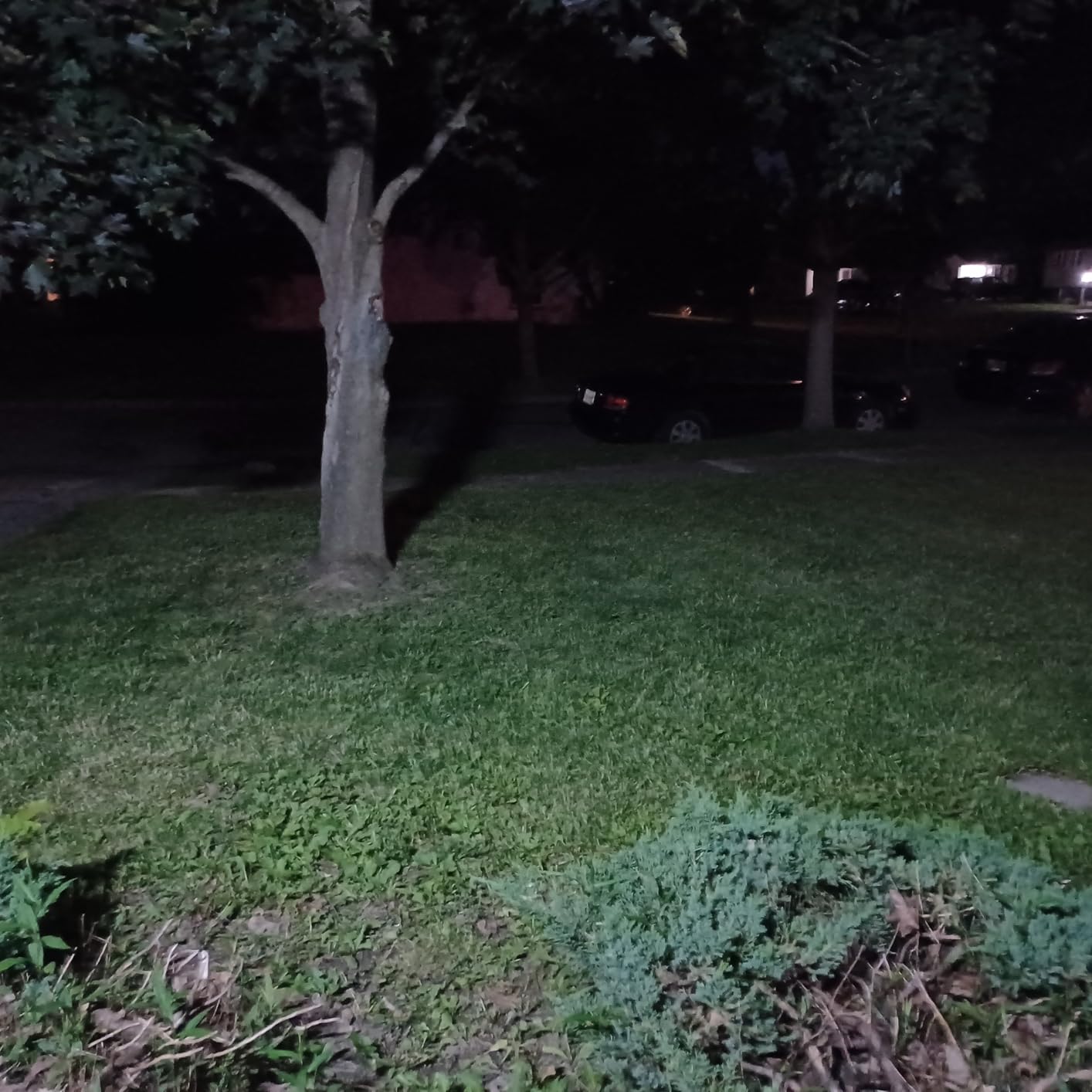 Tuffenough Solar Outdoor Lights 2500LM 210 LED Security Lights with Remote Control, 3 Heads Motion Sensor Lights, IP65 Waterproof, 270° Wide Angle Flood Wall Lights with 3 Modes (2 Packs) customer photo 2