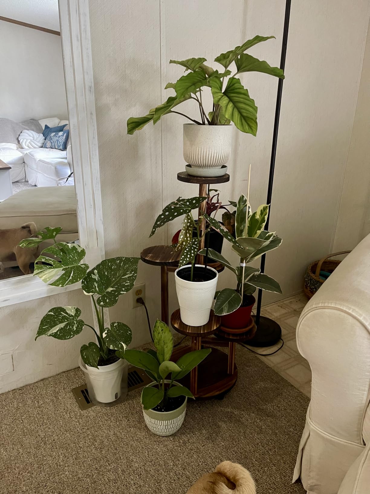 5 Tiered Tall Plant Stand for Indoor | Wood Plant Shelf Corner Display Rack, Multi-tier Planter Pot Holder Flower Stand for Living Room Balcony Garden Patio, Brown customer photo 2