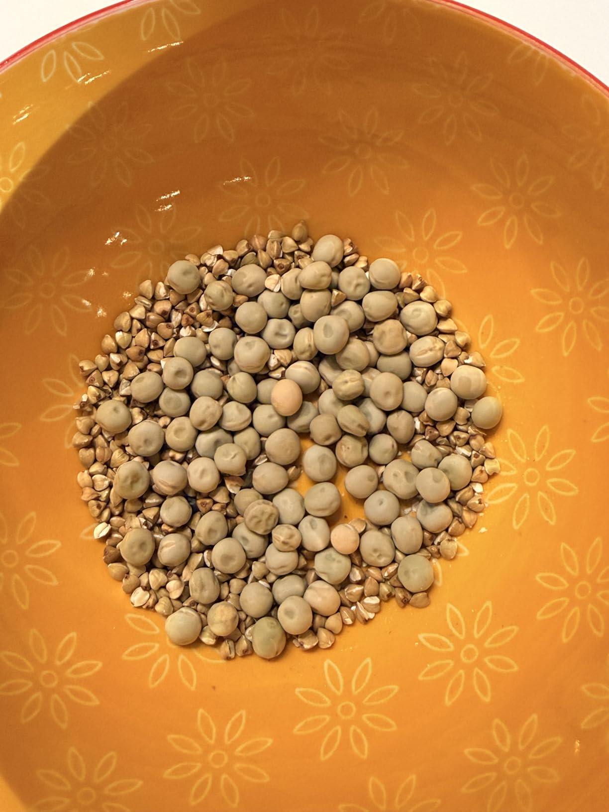 Microgreen Seeds Variety Pack - 10 Heirloom Types for Indoor Sprouting | Broccoli, Pea, Sunflower, Radish, Kale, Arugula & More customer photo 2