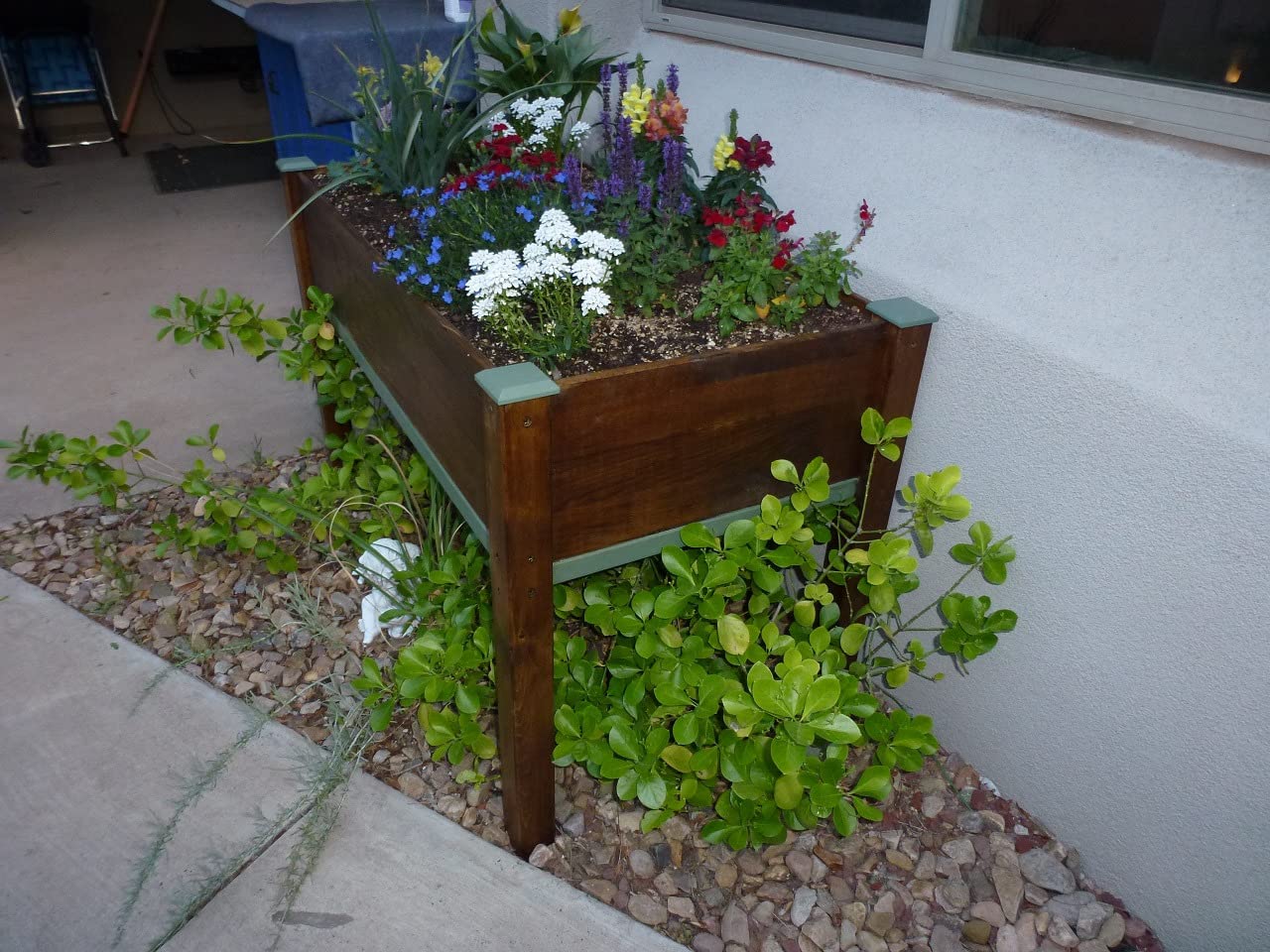 Raised Garden Bed with Legs, 48x24x30 Cedar Wood Elevated Planter Box with Drainage Holes & Liner customer photo 2