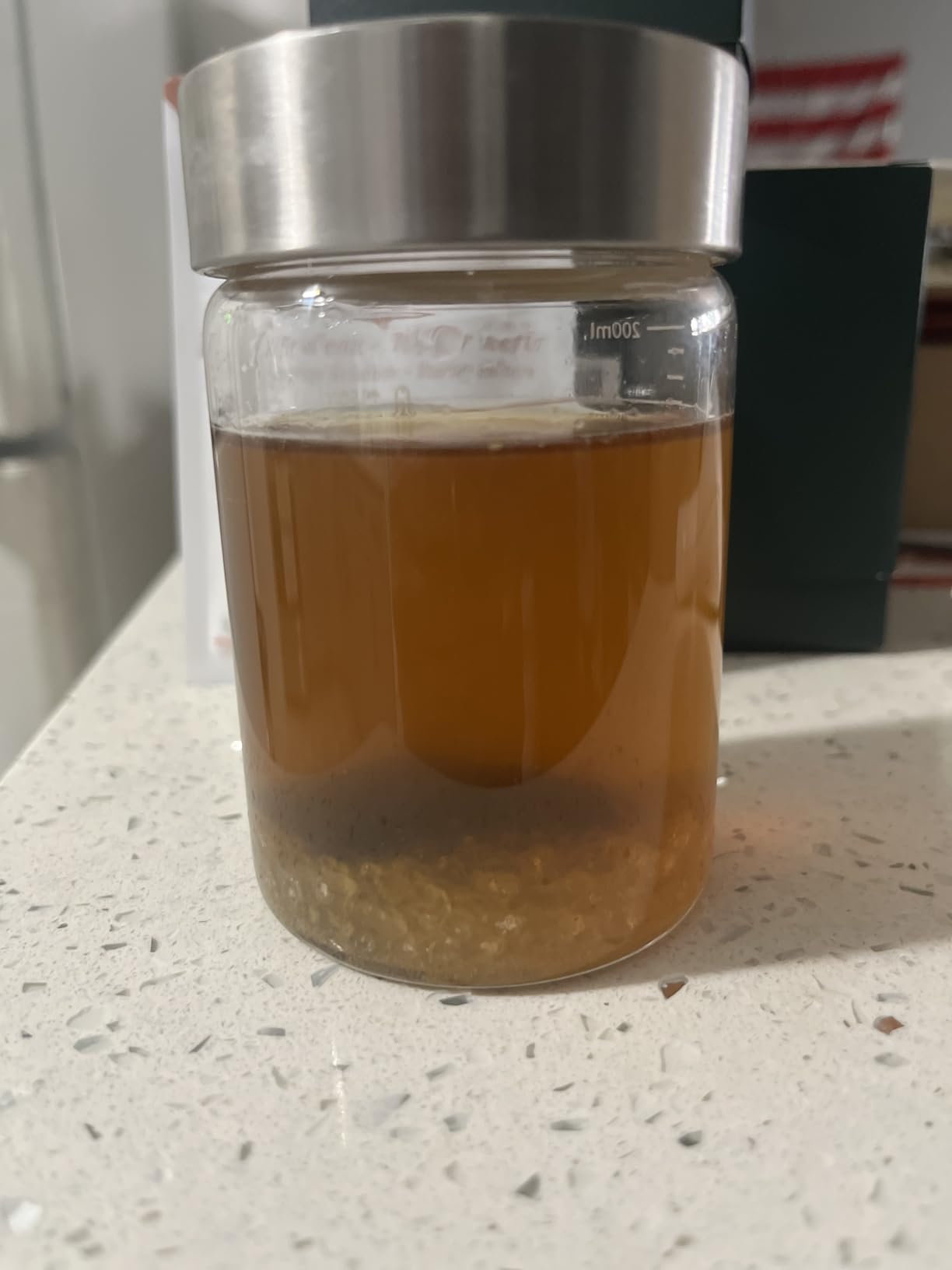 Natural Probio Water Kefir Grains - Starter Culture Kit - Fruit Kefir + Complete Guide, Recipe & Tips + Ebook Library Access + Customer Support (0.35 oz dehydrated / 2.12 oz rehydrated) customer photo 1