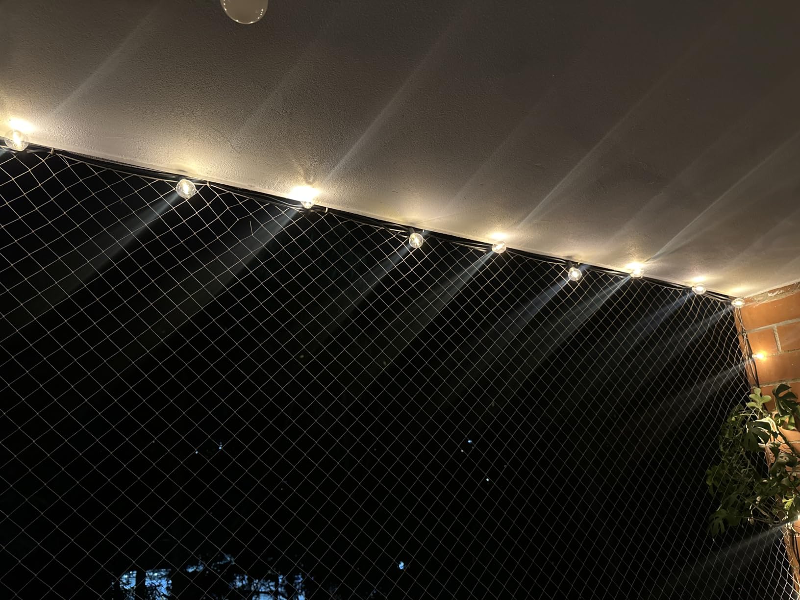 Outdoor String Lights, 55(50+5) FT 25 Bulbs IP65 Waterproof Patio Lights | Shatterproof Dimmable Hanging Connectable G40 Globe LED Outdoor Lights for Christmas, Backyard, Bistro, Porch customer photo 2