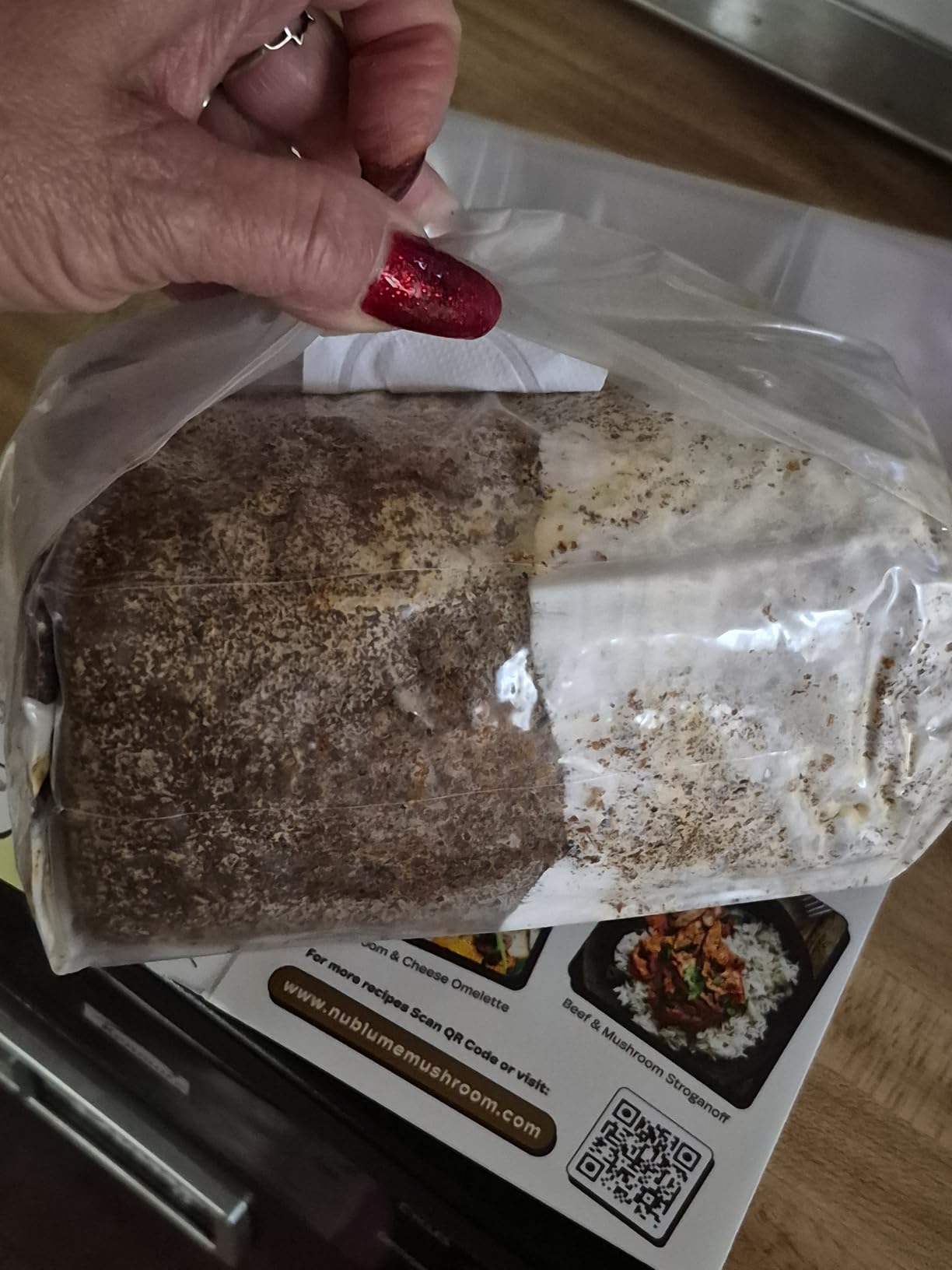 BloomBox Blue Oyster Mushroom Grow Kit - Spray & Grow - Pre-Inoculated Indoor Mushroom Farm customer photo 1