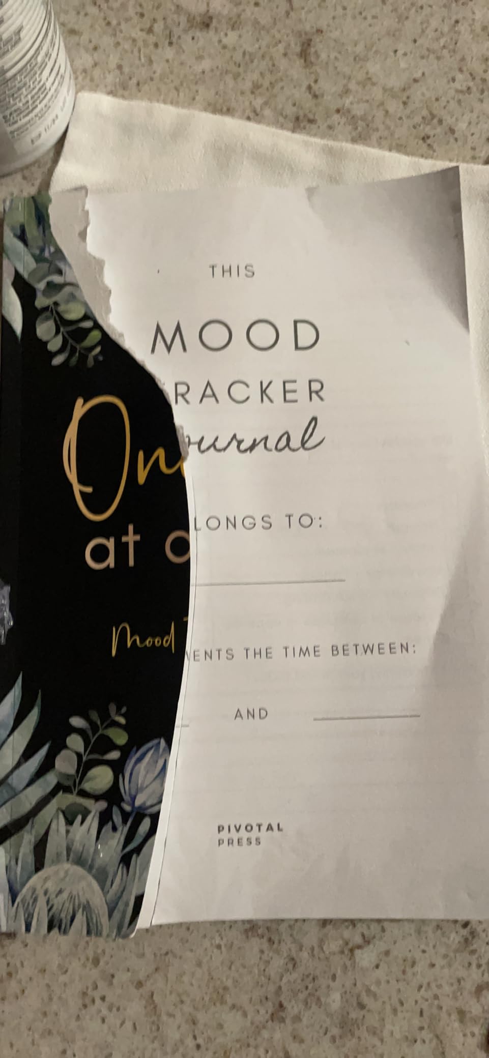 One Day At A Time: Mood Tracking Journal: Daily Wellness and Mental Health Prompt Journal, Diary & Tracker for Women and Teens customer photo 1