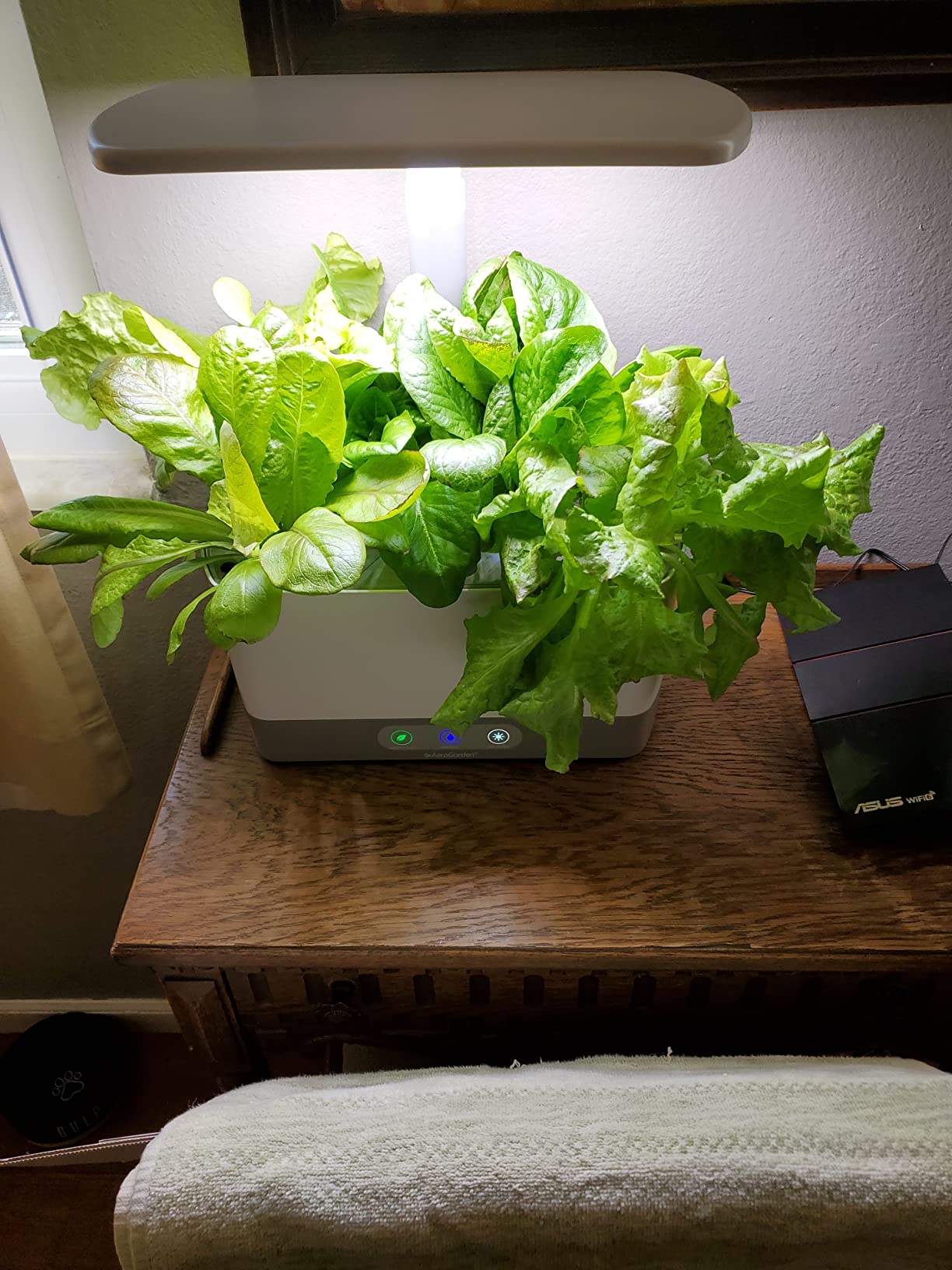 AeroGarden Harvest XL Indoor Garden Hydroponic System, White | Includes LED Grow Light with Seed Pod Kit, Holds up to 6 Pods customer photo 1
