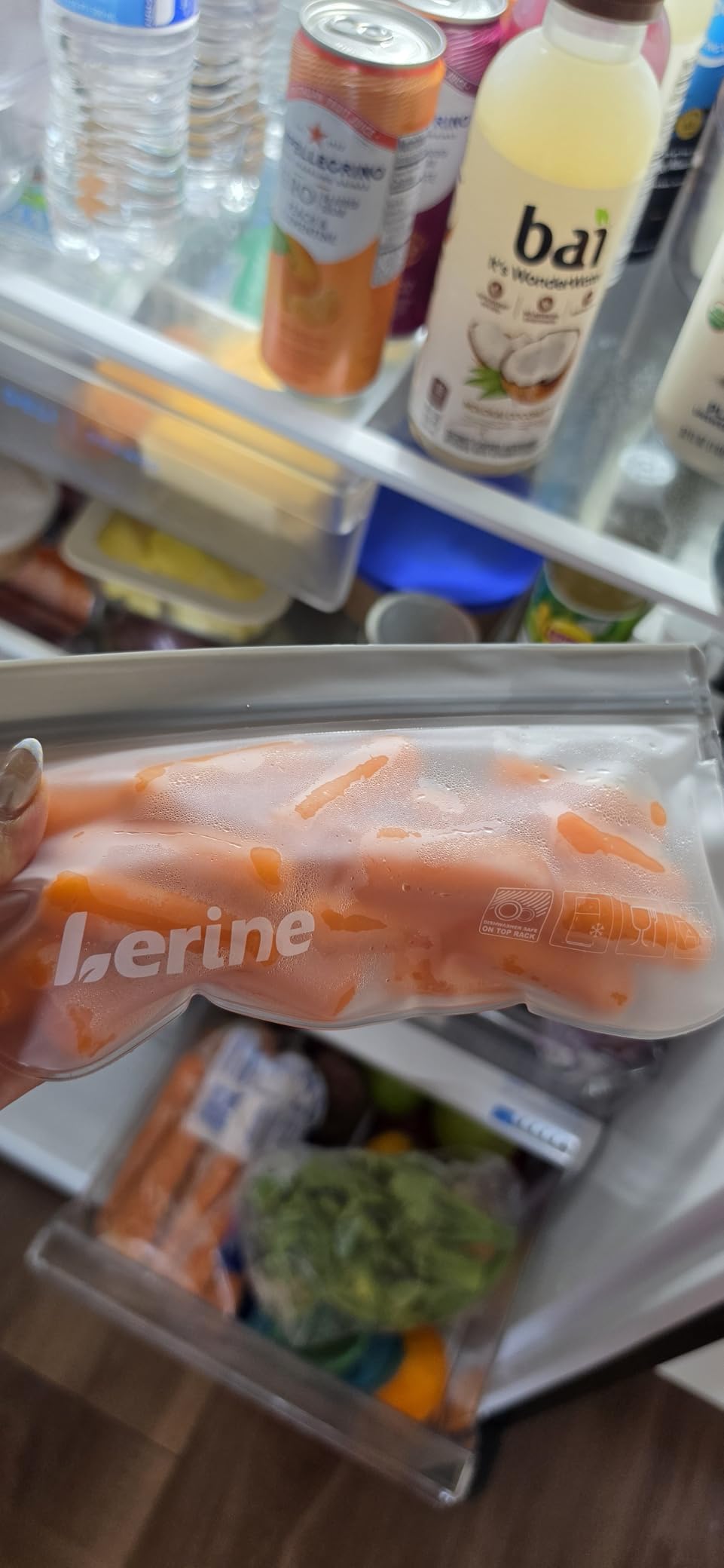 Lerine 10 Pack Reusable Freezer Bags Dishwasher Safe, Food Storage Bags customer photo 2