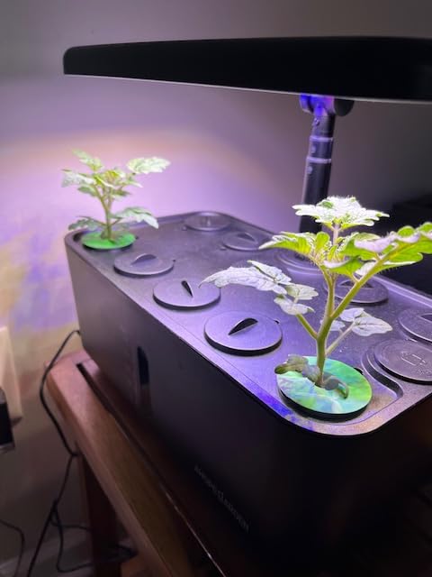 Indoor Garden Hydroponics Growing System: 10 Pods Kit with LED | Plant Germination Kit Herb Vegetable Growth Lamp Countertop, Hydroponic Planter Grower Harvest Lettuce for Healthy Home Cooks customer photo 1
