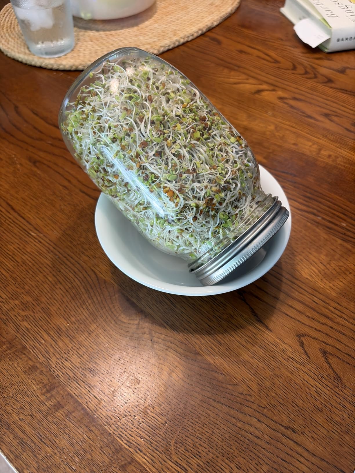 Premium Sprouting Jar Kit, 2Pack Wide Mouth Mason Jars with Mesh Sprouting Lids, Blackout Sleeves, Stand and Drip Tray, Professional Seed Sprouting Kit for Mung Bean, Broccoli Sprout Growing customer photo 2