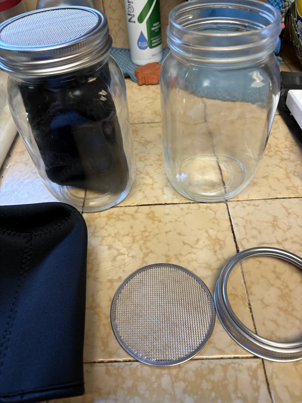 Seed Sprouting Jar Kit - 2 Wide Mouth Mason Jars with 316 Stainless Steel Sprouting Lids Covers, Drip Tray and Stand for Growing Broccoli Alfalfa Beans Sprout (Two Jars) customer photo 1