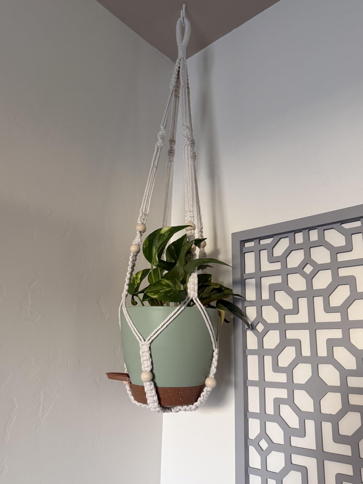 Bouqlife 3 Sets Hanging Planters for Indoor Plants with Self-Watering Hanging Pots and Macrame Plant Hangers, Outdoor Hanging Flower Pots with Drainage 3 Different Size for Home Patio Boho Decor customer photo 2
