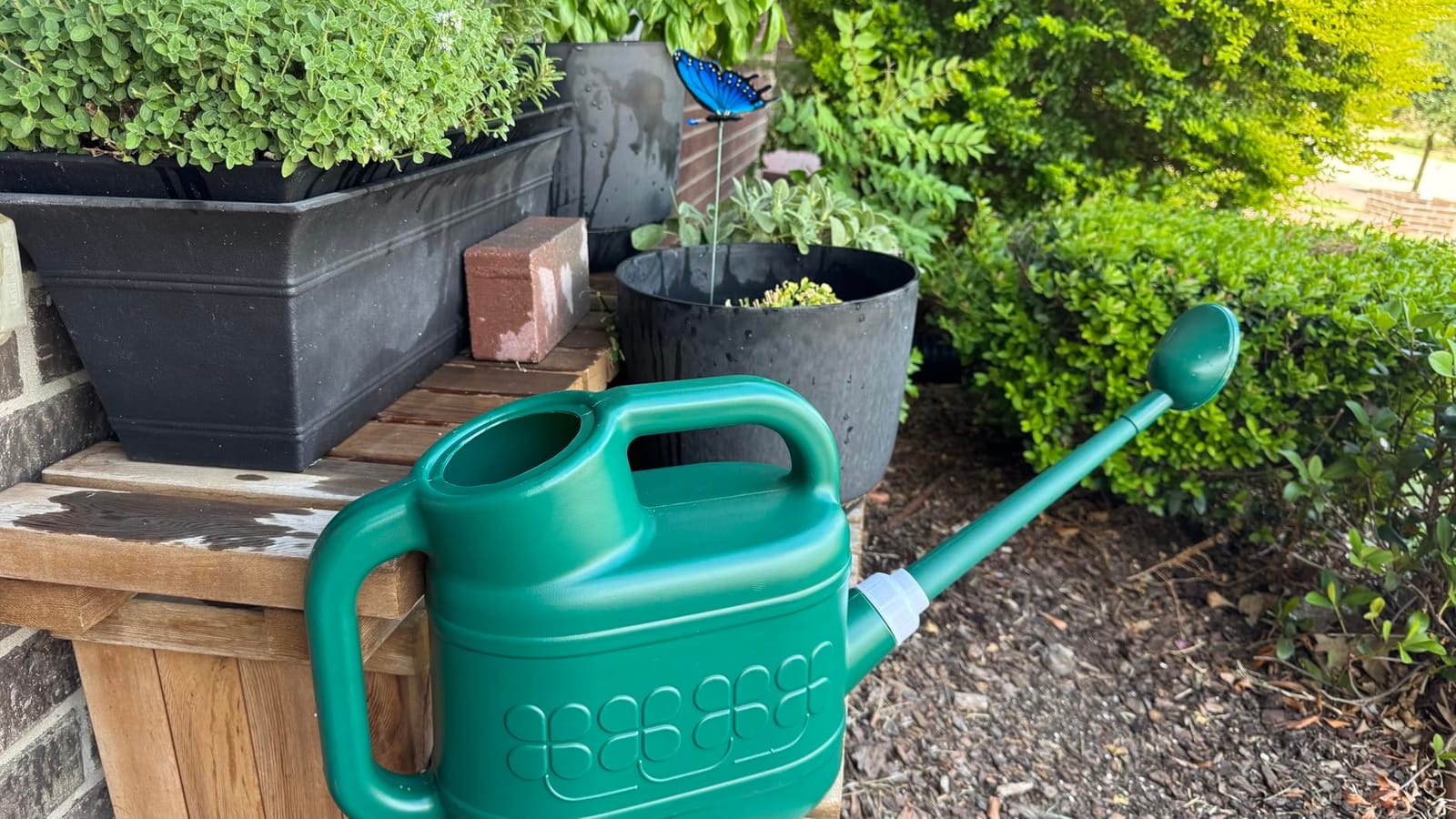 2 Gallon Watering Can, Garden Watering Can Outdoor, Plant Water Can with Removable Long Spout and Stainless Steel Sprinkler Head, Large Plastic Outdoor Watering Cans for Gardening Flower Plants customer photo 2