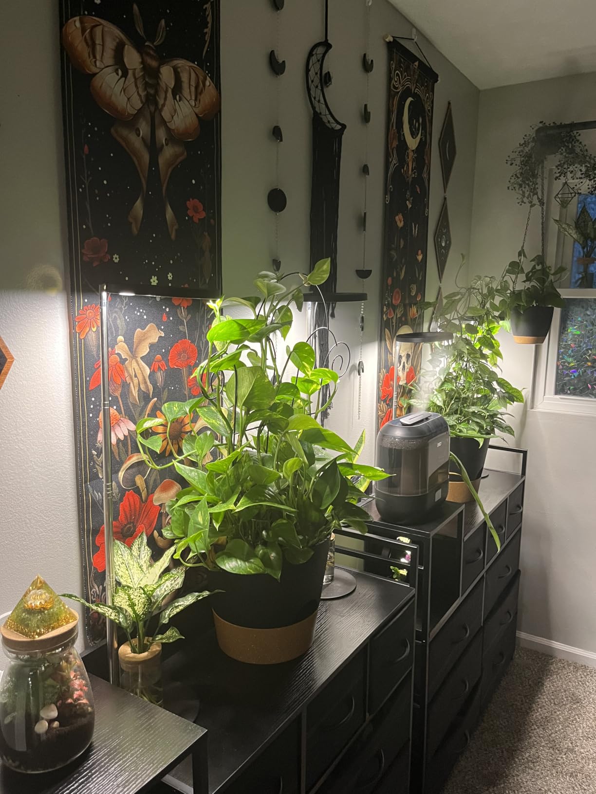 YNNICO Indoor Self Watering Planters with Drainage Holes and Saucers, 8, 7, 6.5, 6, 5.5, 5 Inches, Green, 6 Pots. customer photo 1