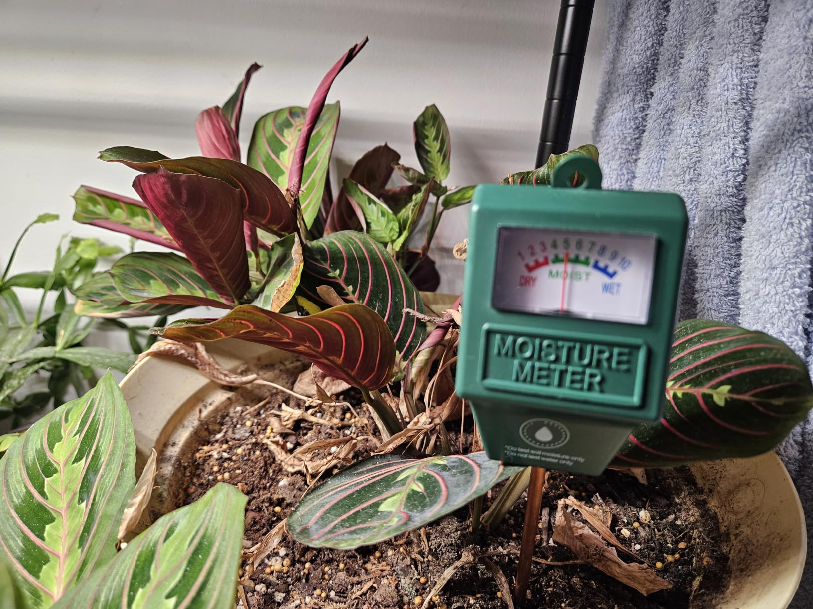 Antonki 2 Pack Soil Moisture Meter, Plant Water Meter for Gardening, Farming, Soil Tester Hygrometer Sensor for Indoor Outdoor House Plants, Flower, Lawn - No Battery Required customer photo 2