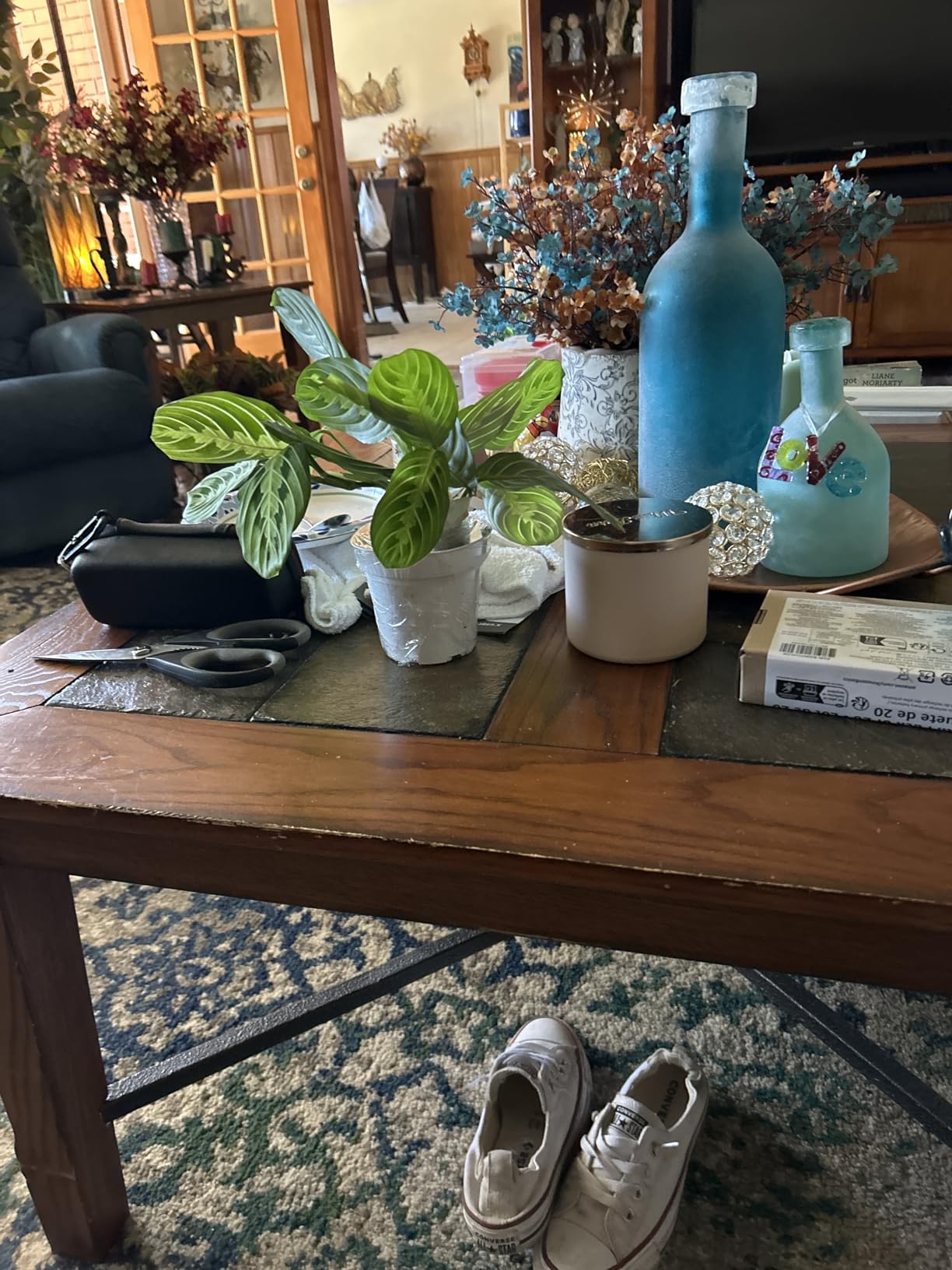 Live Plant, Lemon Lime Maranta Prayer Plant, Pet Friendly, Air Purifying Plant, Easy Care, Easy to Grow Live Indoor Plant, Houseplant, Rare Indoor Plant, Home Decor 4 inch White Pot customer photo 1