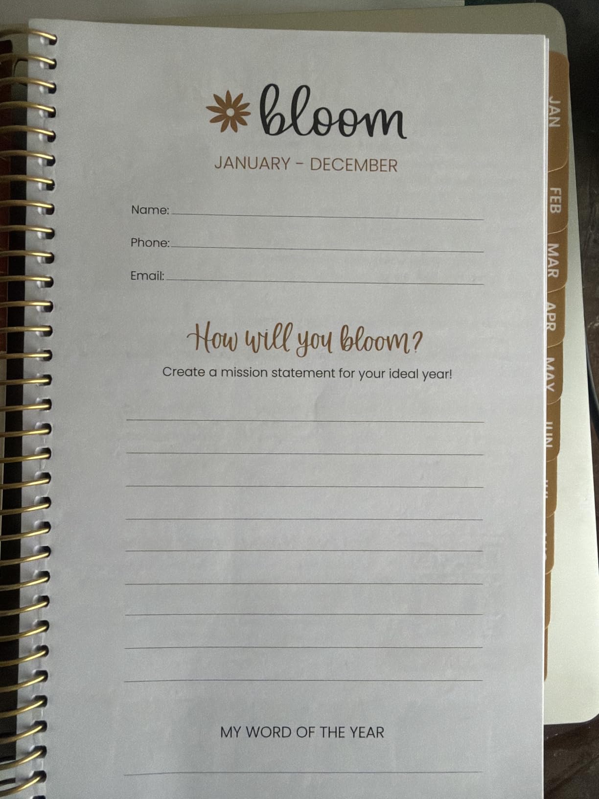 bloom daily planners UNDATED Weekly & Monthly Calendar Planner - Start Anytime customer photo 1