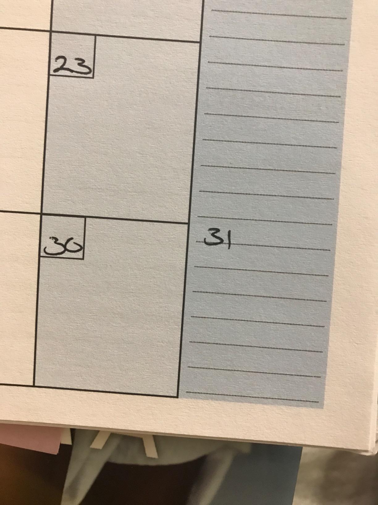bloom daily planners UNDATED Weekly & Monthly Calendar Planner - Start Anytime customer photo 2