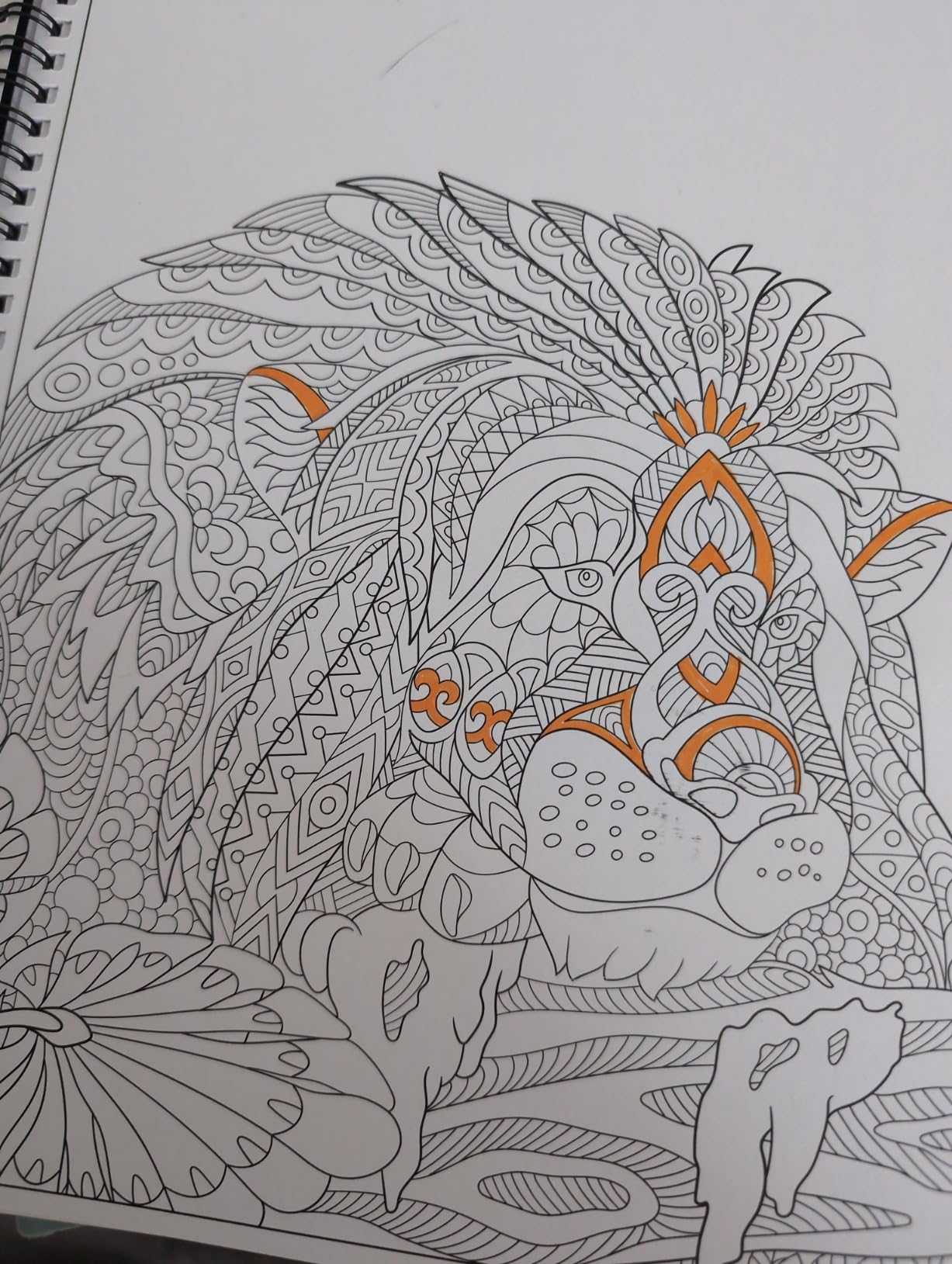 Kalysky Adult Coloring Books Set:3 Coloring Books for Adults Animal Flowers & Other Themes Designs.Coloring Books for Adults to Relax and Relieve Anxiety | 60 Designs丨A4 Perforated Paper丨120GSM thick paper丨With 1 Cardboard for Anti Permeation丨Themes: Mandalas,Flowers,Animals other customer photo 1