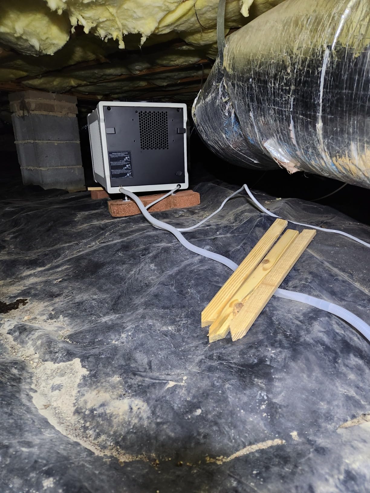 155 Pint Commercial Dehumidifier with Drain Hose for Crawl Spaces customer photo 1