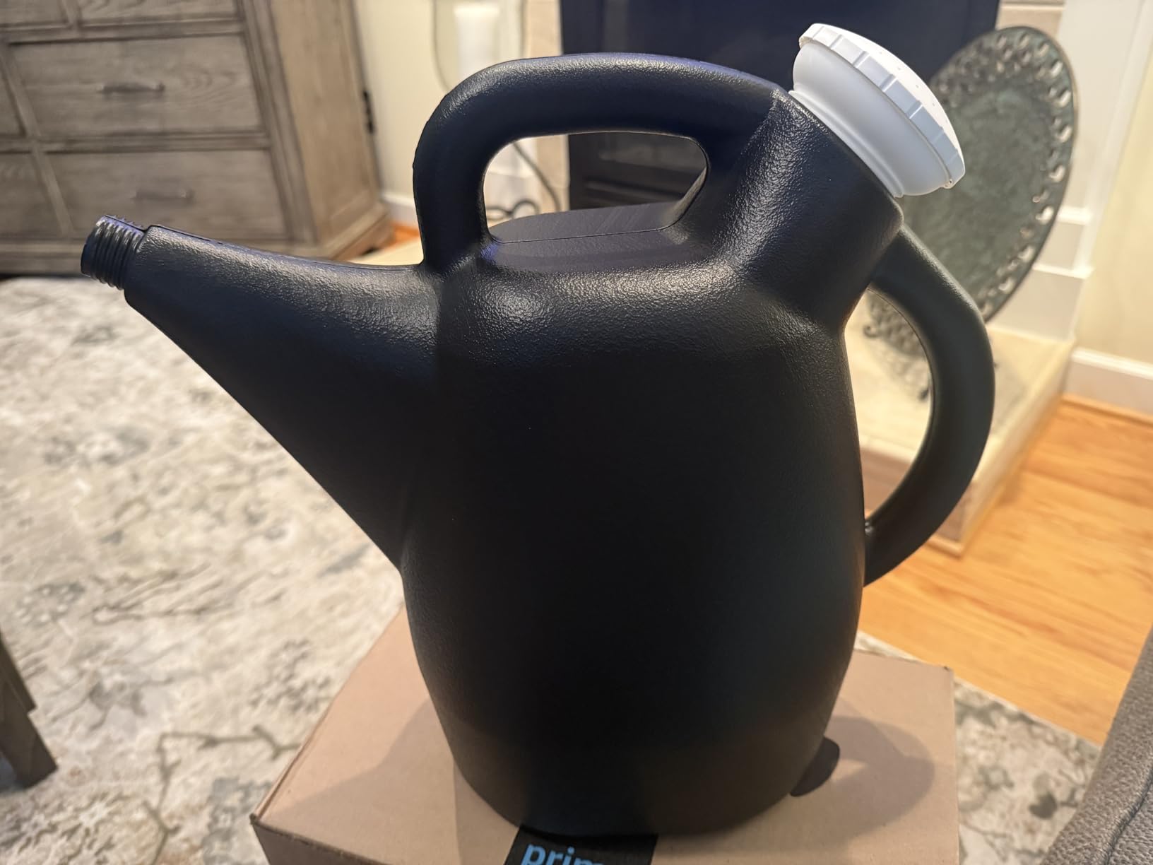 Chapin 2-Gallon Watering Can, Drip-Free Spout for Clean Pour customer photo 2