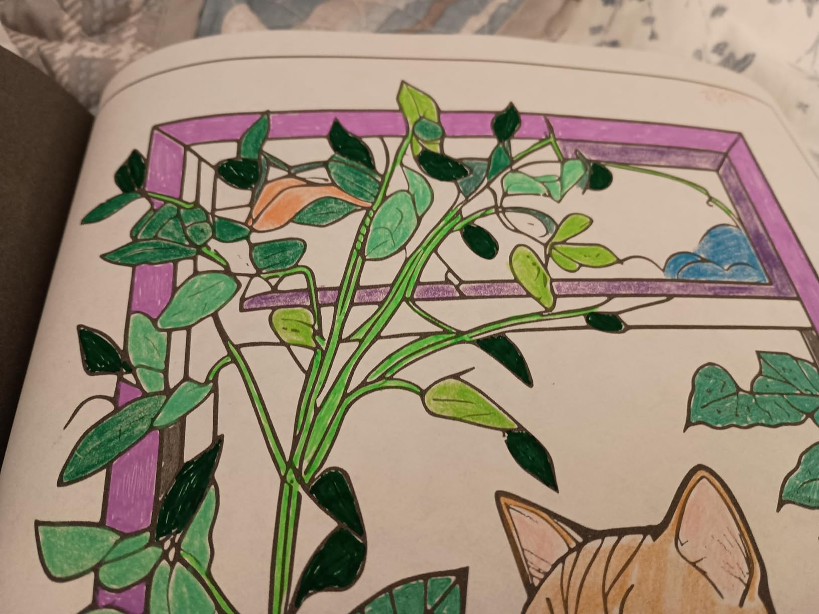 101 CALMNESS: Adult Coloring Book - Relaxing Book to Calm your Mind and Stress Relief - Beautiful Designs of Animals, Landscape, Beach, House, Birds, Flowers, and more customer photo 1
