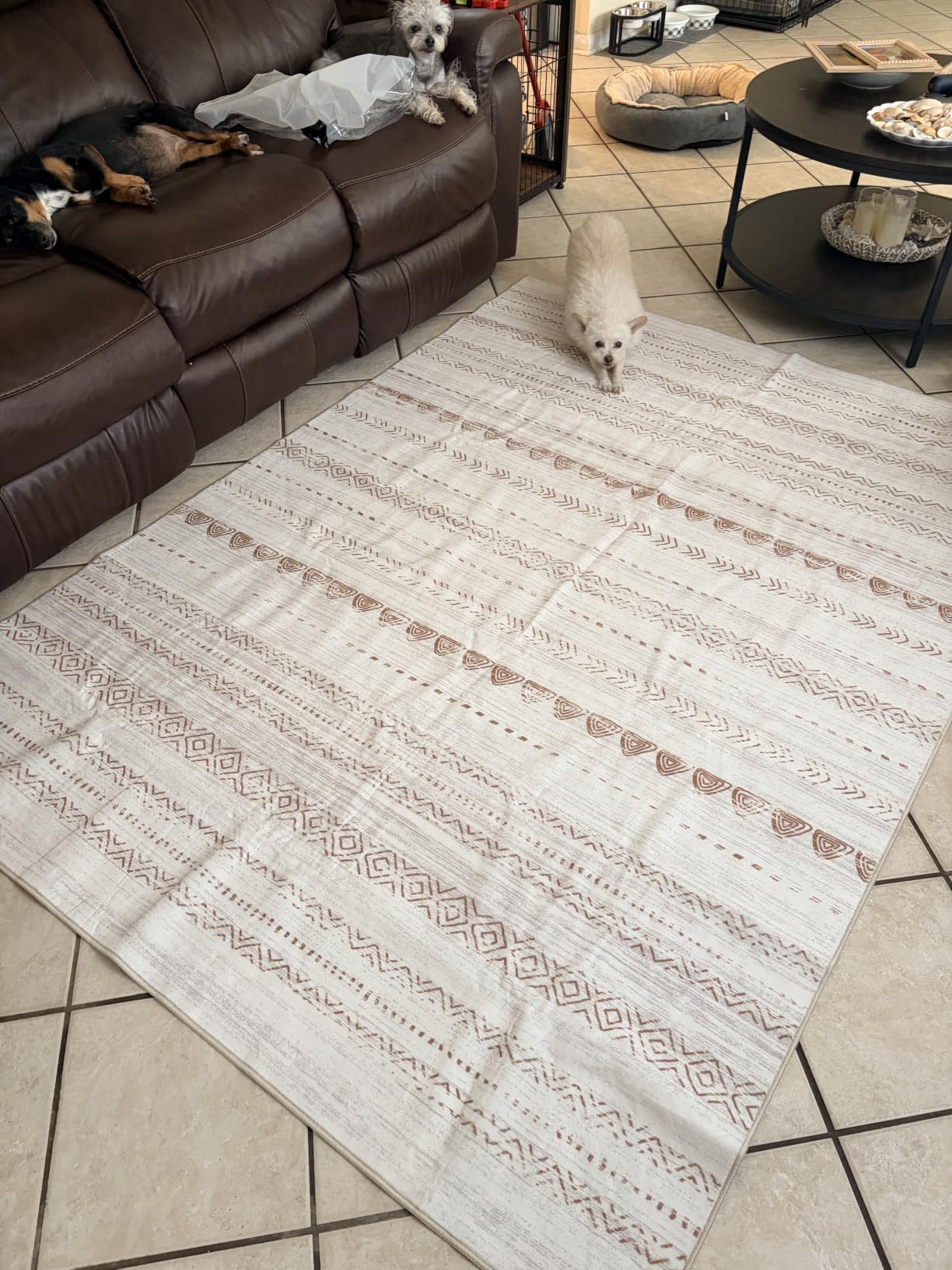 Nakagishi Area Rug Living Room Rugs: 5x7 Large Soft Machine Washable Boho Moroccan FarmNeutral Stain Resistant Indoor Floor Carpet for Bedroom Under Dining Table Home Office Decor-Cream Brown customer photo 1