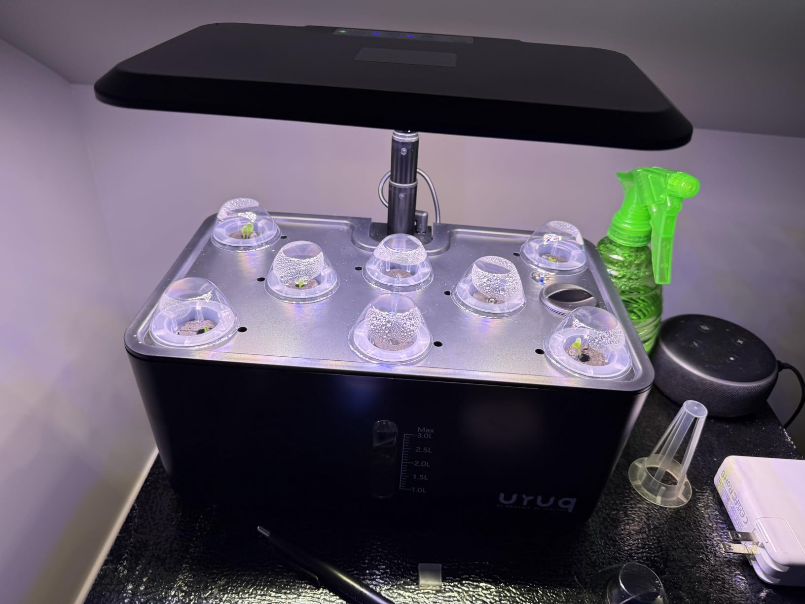 8 Pods Hydroponics Growing System with LED Grow Light - White | Quiet Water Pump, Automatic Timer, Adjustable Height for Fresh Herbs, Vegetables, Indoor Gardening, Gifts for Plant Lovers customer photo 2
