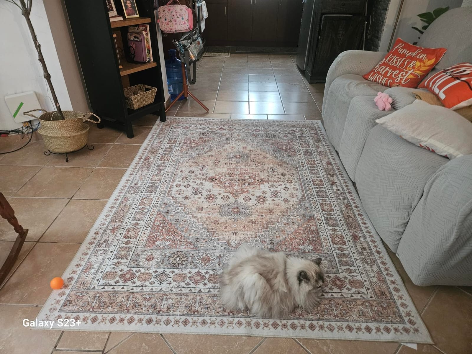8x10 Area Rugs for Living Room, Large Washable Rug, Orange | Rugs for Bedroom, Dining Room, Office, Low Pile, Soft, Vintage Rug, Stain Resistant Indoor Carpet, Non Slip, Home Decor customer photo 1