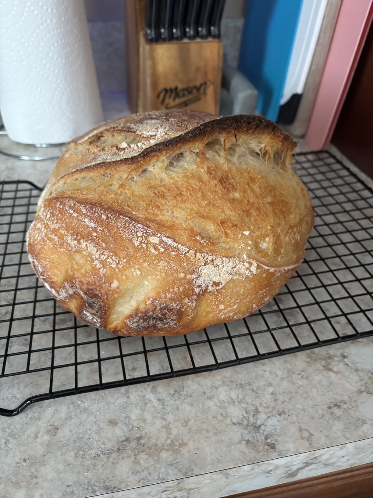 San Francisco Sourdough Starter Culture- 100+ Year Old Dehydrated Heirloom Style Sourdough Starter Kit for Sourdough Bread, Pizza, Buns, Pancakes, Muffins | Easy to follow instructions. By Captain Sourpants customer photo 1