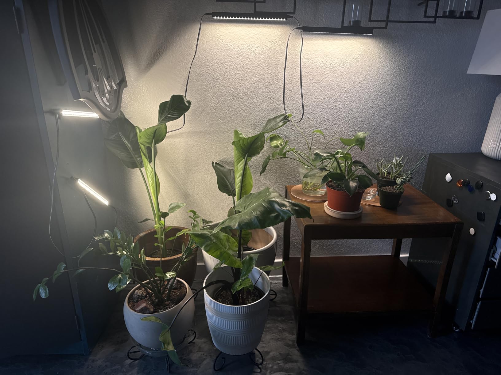 Barrina T5 Grow Lights for Indoor Plants, Full Spectrum, 1ft 5000K, 4 Packs | Linkable 1ft LED Plant Light, Black Cover LED Grow Light Strips, Magnetic Installation, 3 Mounting Modes, Plug and Play customer photo 2