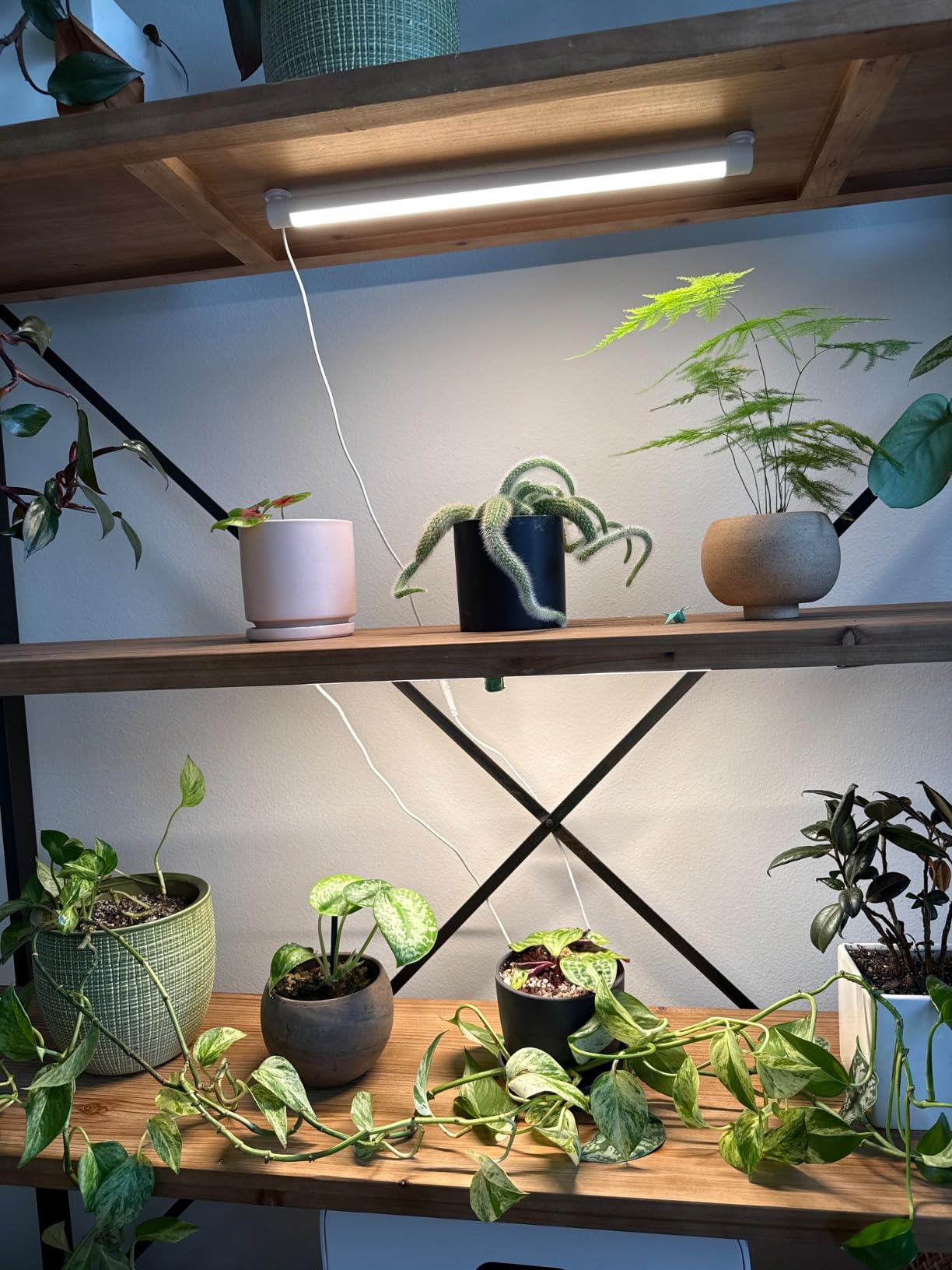Soltech Solutions Grove LED Grow Light - Under-Cabinet/Shelving or wall Mounted LED bar Light for Indoor houseplants and Herbs - Touch Control Power and dimming (White) customer photo 1