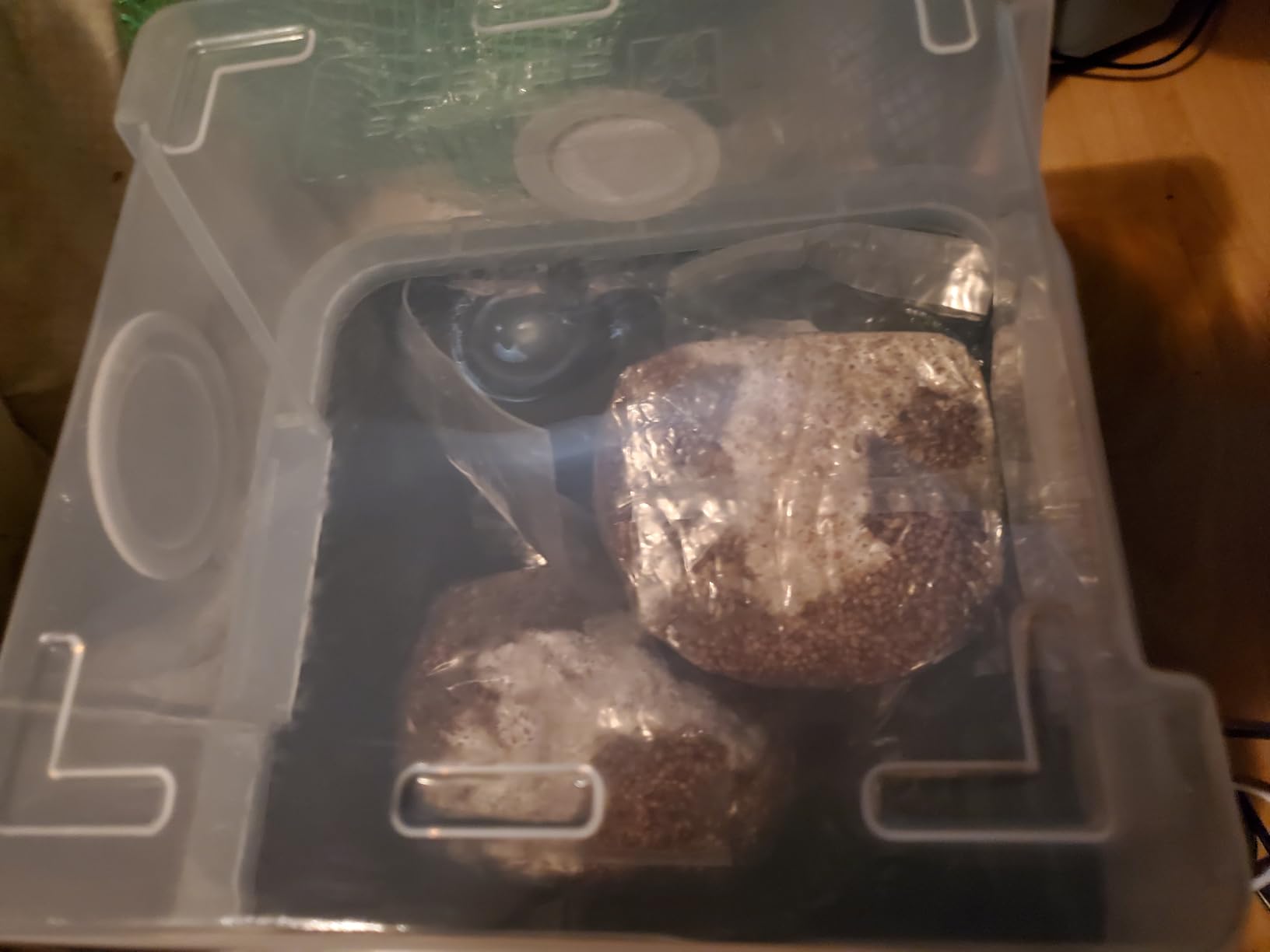 Grower's Select Mushroom Monotub Fruiting Chamber with Filter Disks and Liner customer photo 2