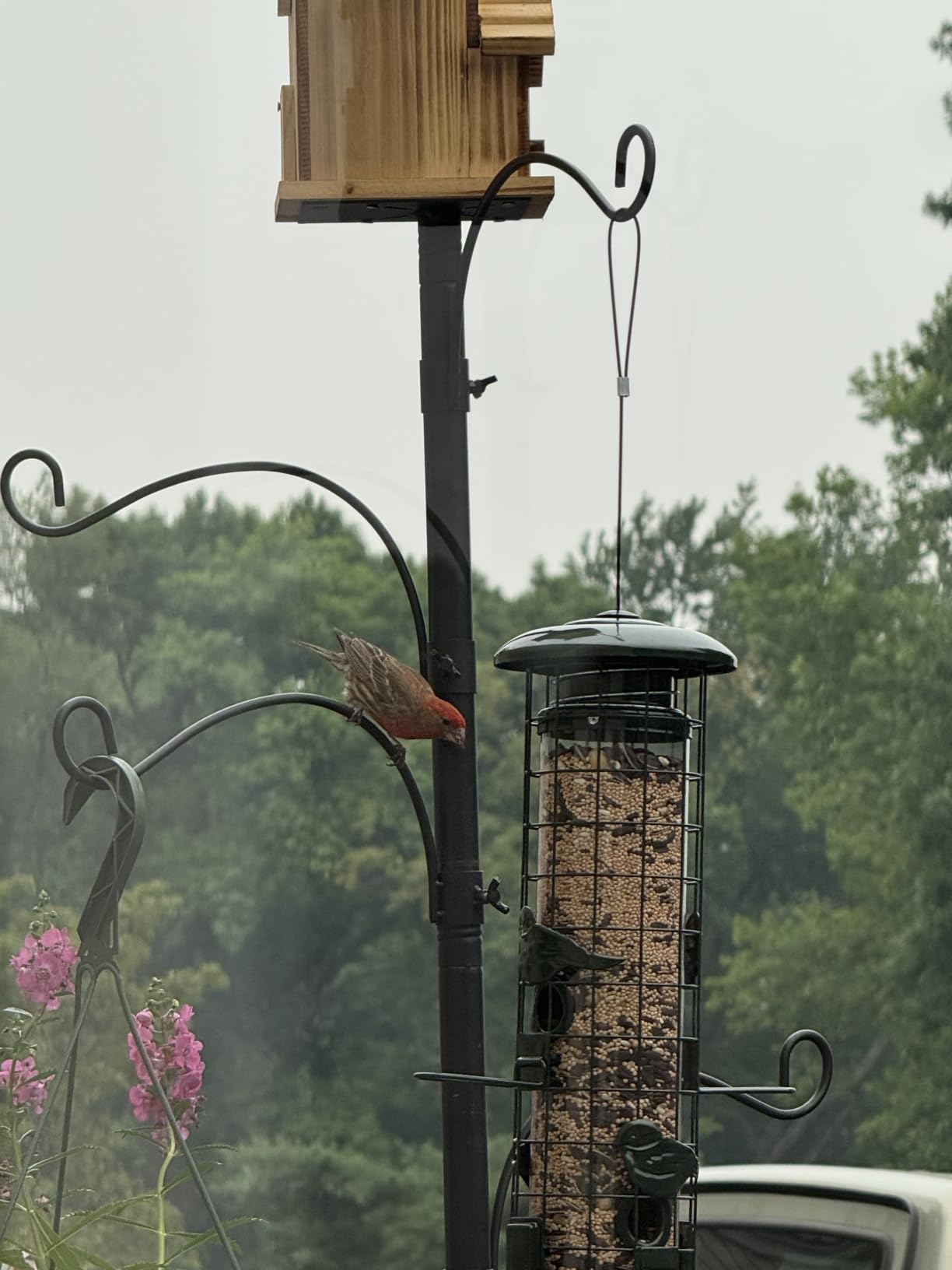 Squirrel Proof Bird Feeder, Metal Mesh Bird Feeders for Outdoors Hanging, Gravity Protection, 3LB Large Capacity, Green customer photo 2