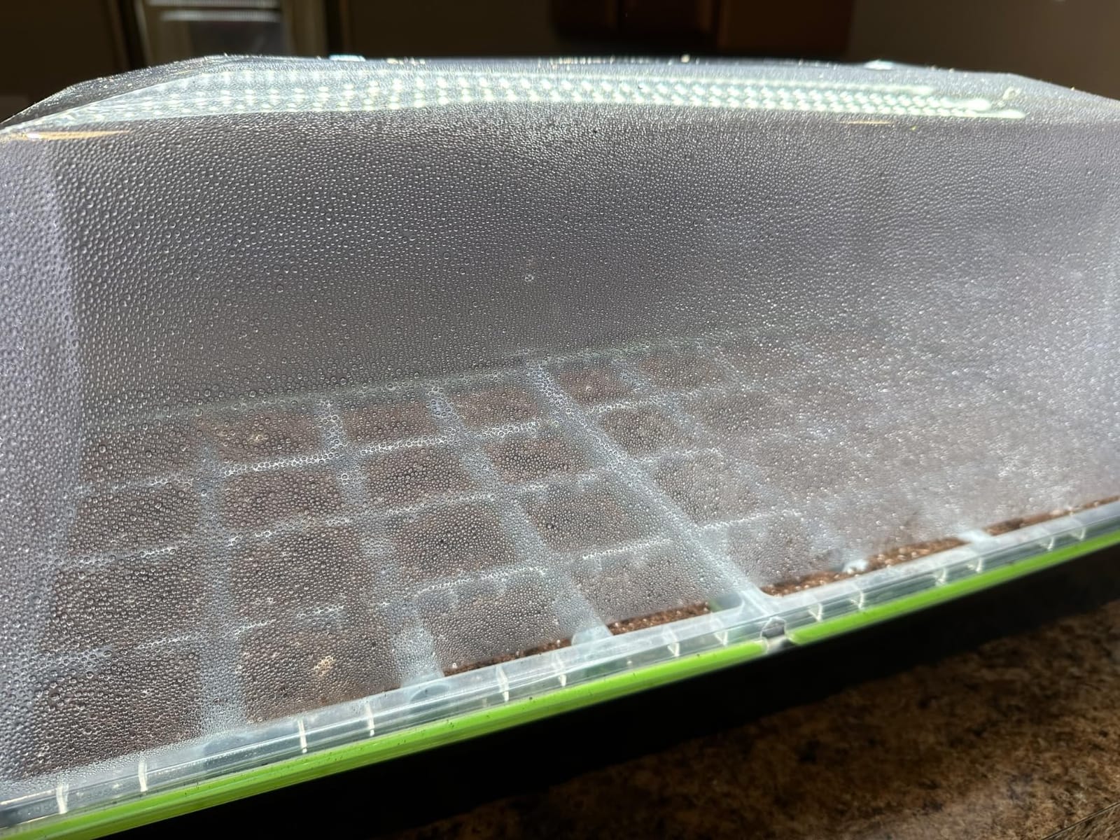 SOLIGT 1020 Size Seed Starter Kit with Grow Light and Heat Mat | 7