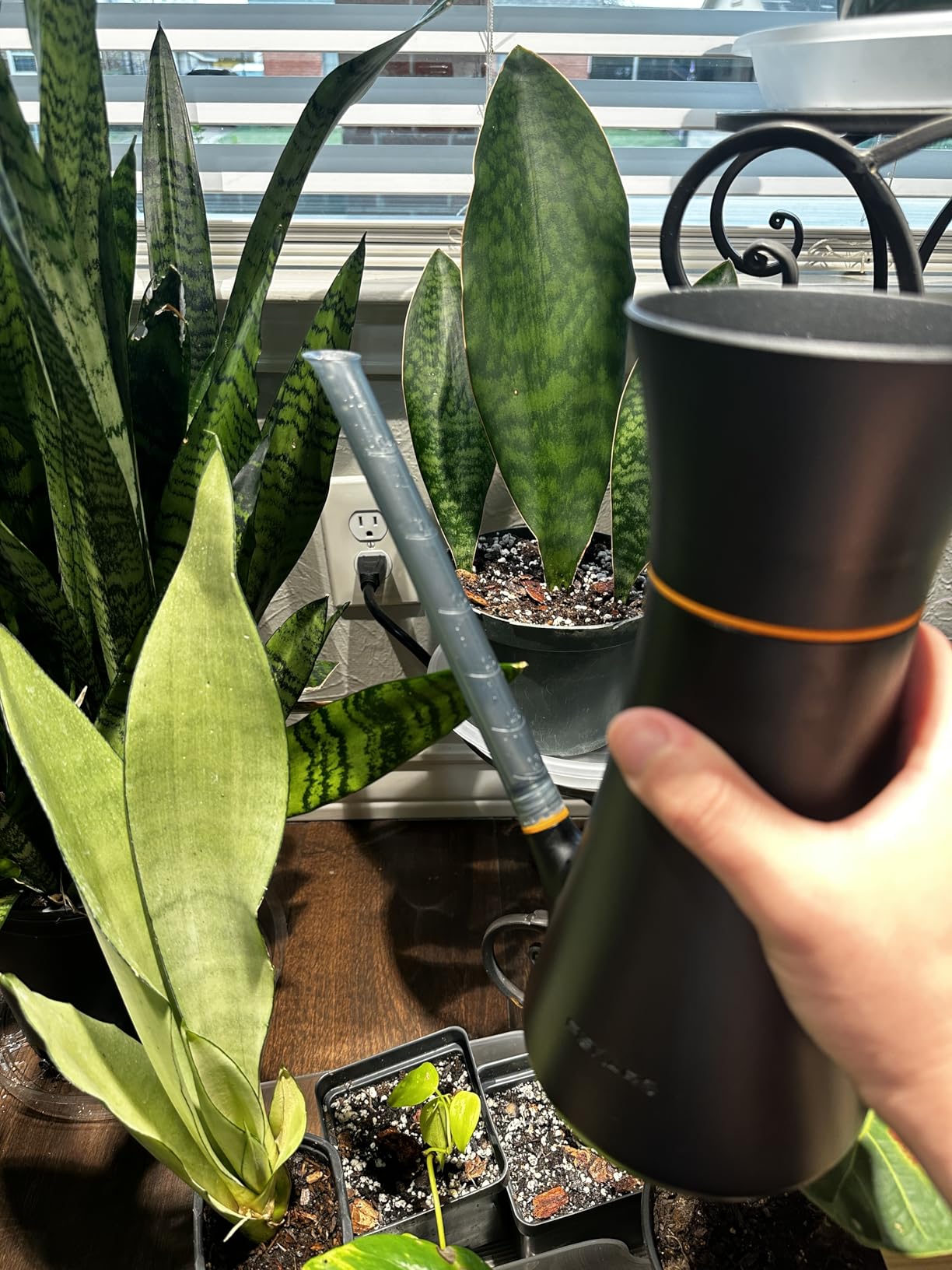 Fiskars Indoor Watering Can, Long Reach Spout for Precision Hydration on House Plants, Flowers & Garden, Anti-Drip Nozzle with Translucent Volume Markings, Ergonomic Recycled Plastic Body, 40 oz customer photo 2