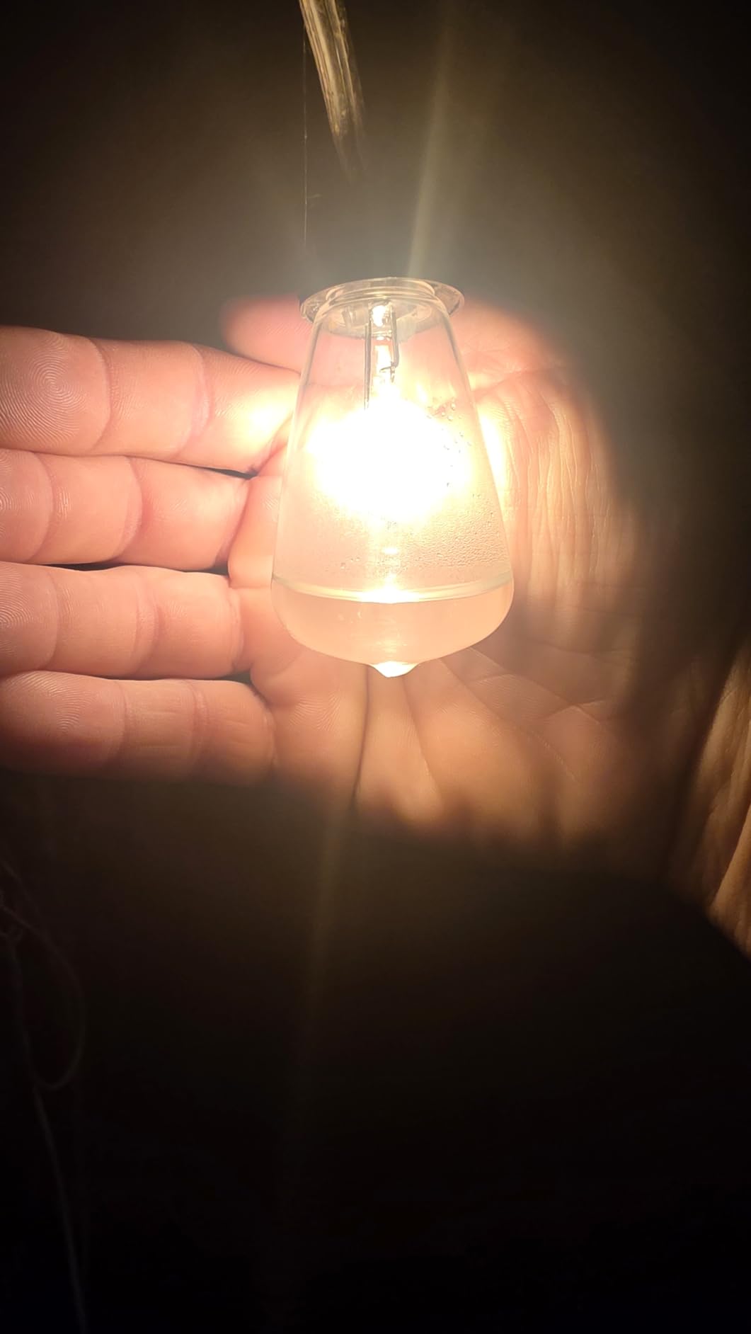 addlon 100FT Outdoor String Lights ST38 LED with Remote Waterproof Dimmable | Shatterproof Replaceable Bulbs, Connectable Hanging Strand for Porch Backyard Patio Garden Deck Outside, Timer, 3 Modes customer photo 1