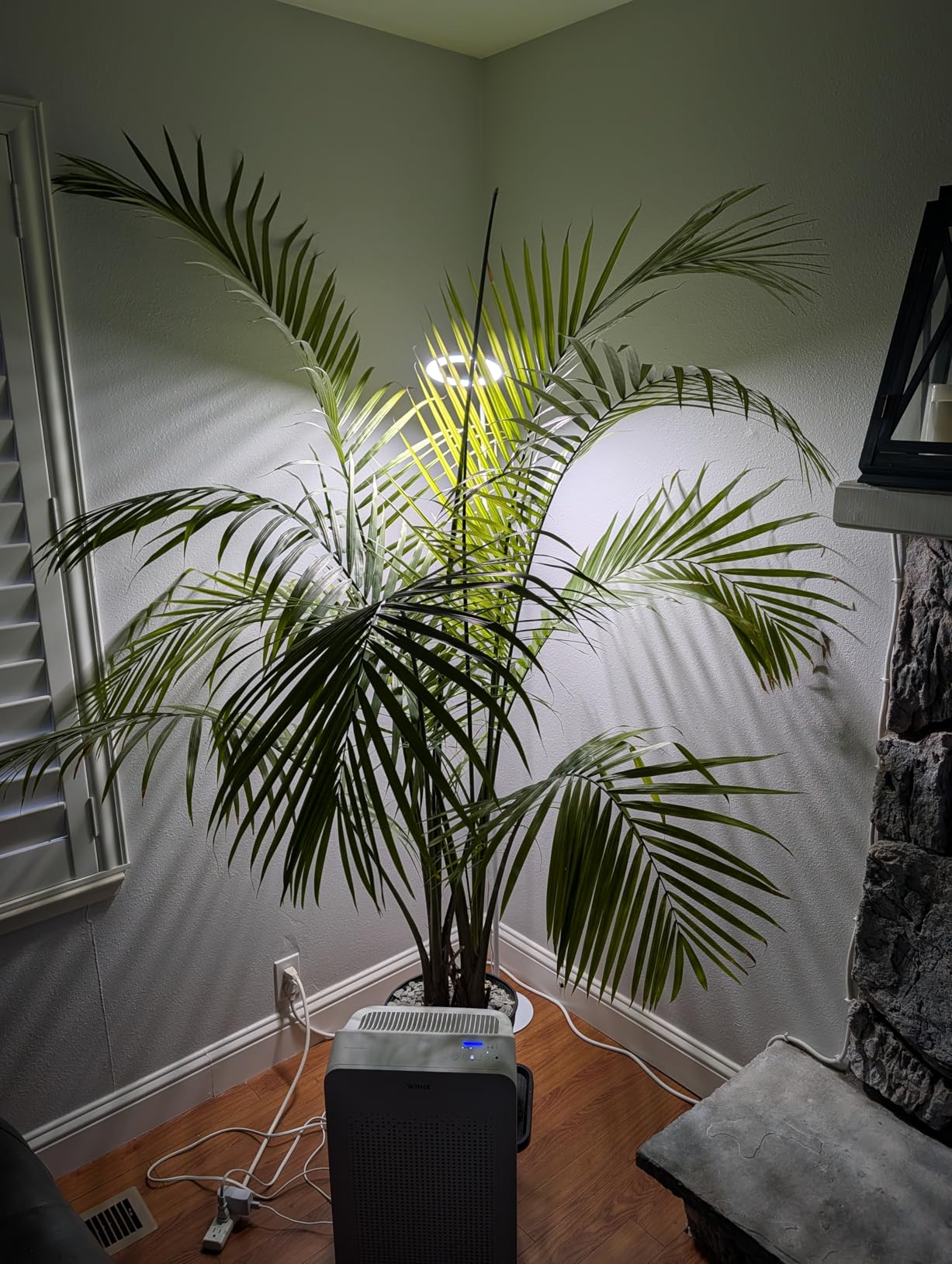 Aumtrly Floor Grow Lights for Indoor Plants, Full Spectrum Plant Light with 68