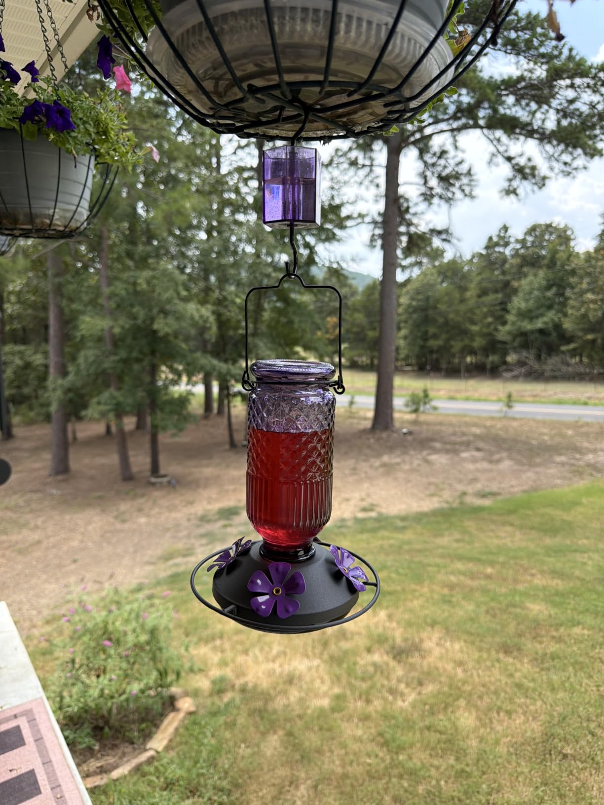 FEED GARDEN Glass Hummingbird Feeder for Outdoors Hanging, 16 oz Leak-Proof Nectar Feeder with Bee Guards & Ant Moat, 4 Metal Flower Feeding Ports, 360° Perch Ring, Easy Refill & Clean, Red customer photo 1