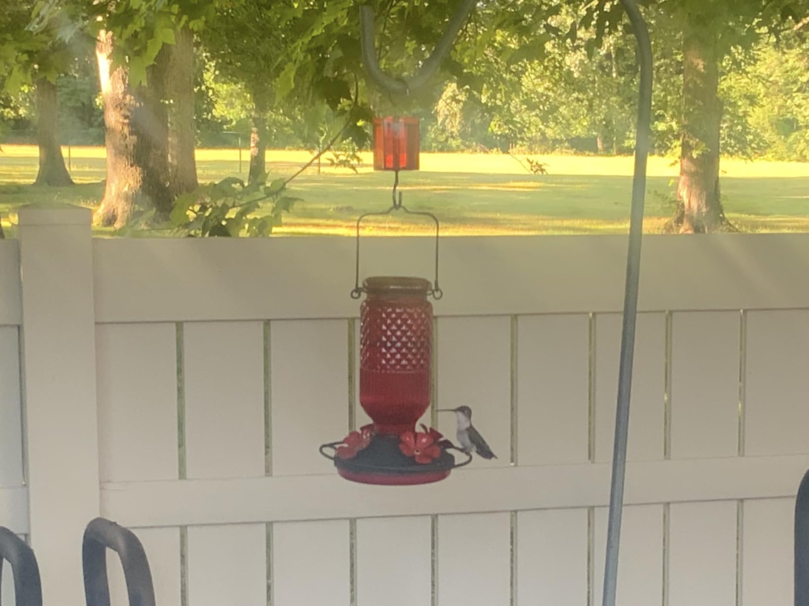 FEED GARDEN Glass Hummingbird Feeder for Outdoors Hanging, 16 oz Leak-Proof Nectar Feeder with Bee Guards & Ant Moat, 4 Metal Flower Feeding Ports, 360° Perch Ring, Easy Refill & Clean, Red customer photo 2