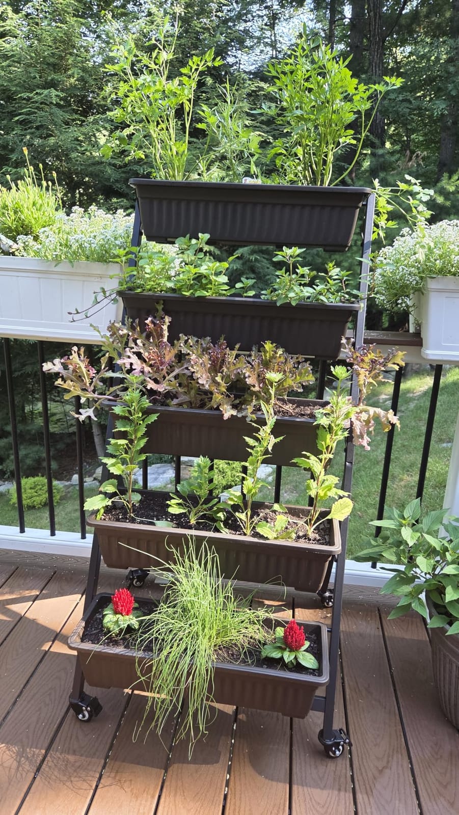 5-Tier Vertical Garden Planter, 4.4Ft Planter Box with 5 Container Boxes | Raised Herb Planter Box for Patio Deck Outdoor Indoor, Vertical & Mobile, Black customer photo 2