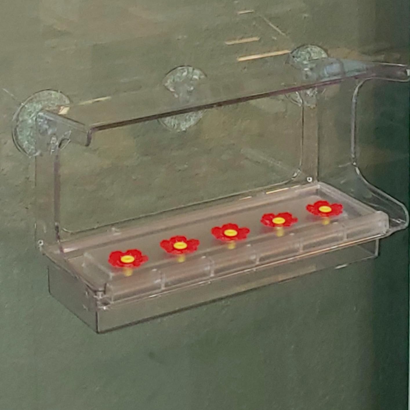 LUJII All One Piece Window Hummingbird Feeder with 5 Strongest Suction Cups, 20 fl.oz Hummer Feeder for Outside, Removable Lift-up Nectar Tray with 5 Feeding Ports, Gift for Bird Lover customer photo 1