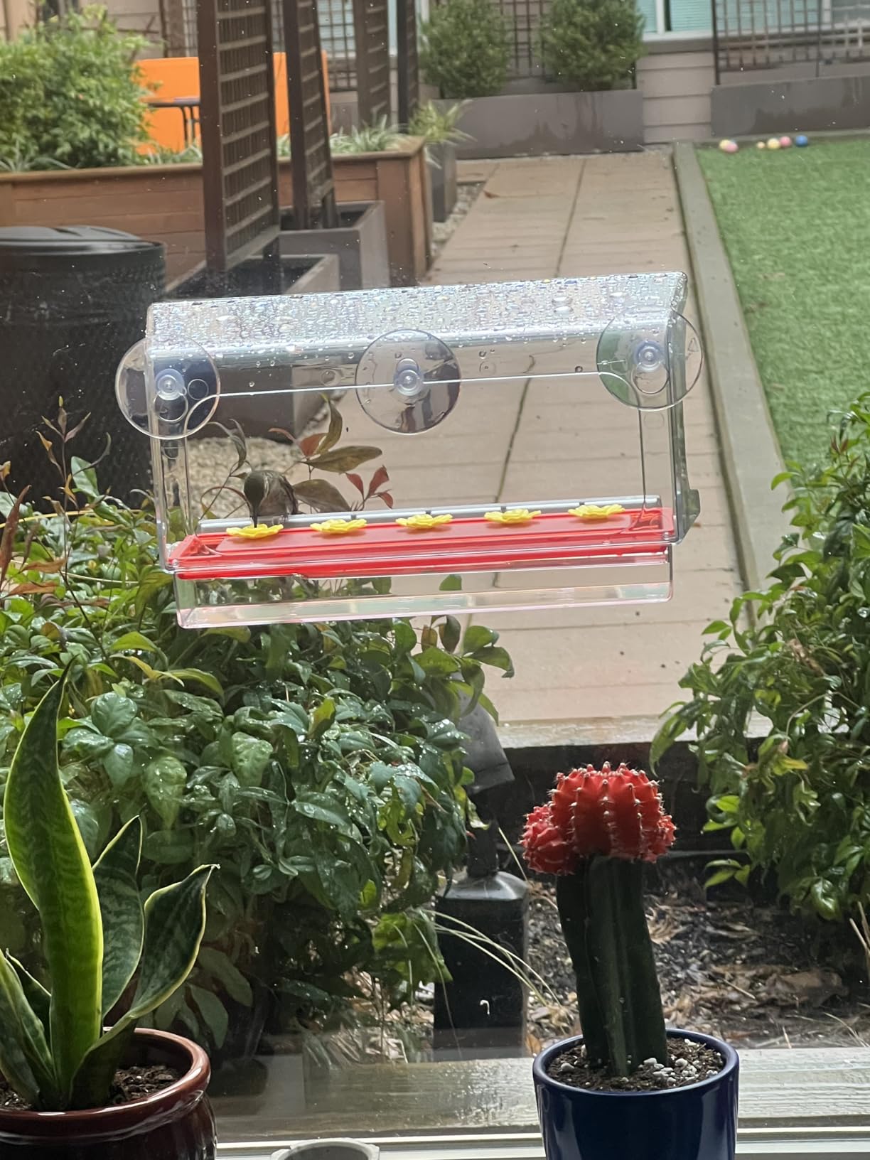 LUJII All One Piece Window Hummingbird Feeder with 5 Strongest Suction Cups, 20 fl.oz Hummer Feeder for Outside, Removable Lift-up Nectar Tray with 5 Feeding Ports, Gift for Bird Lover customer photo 2