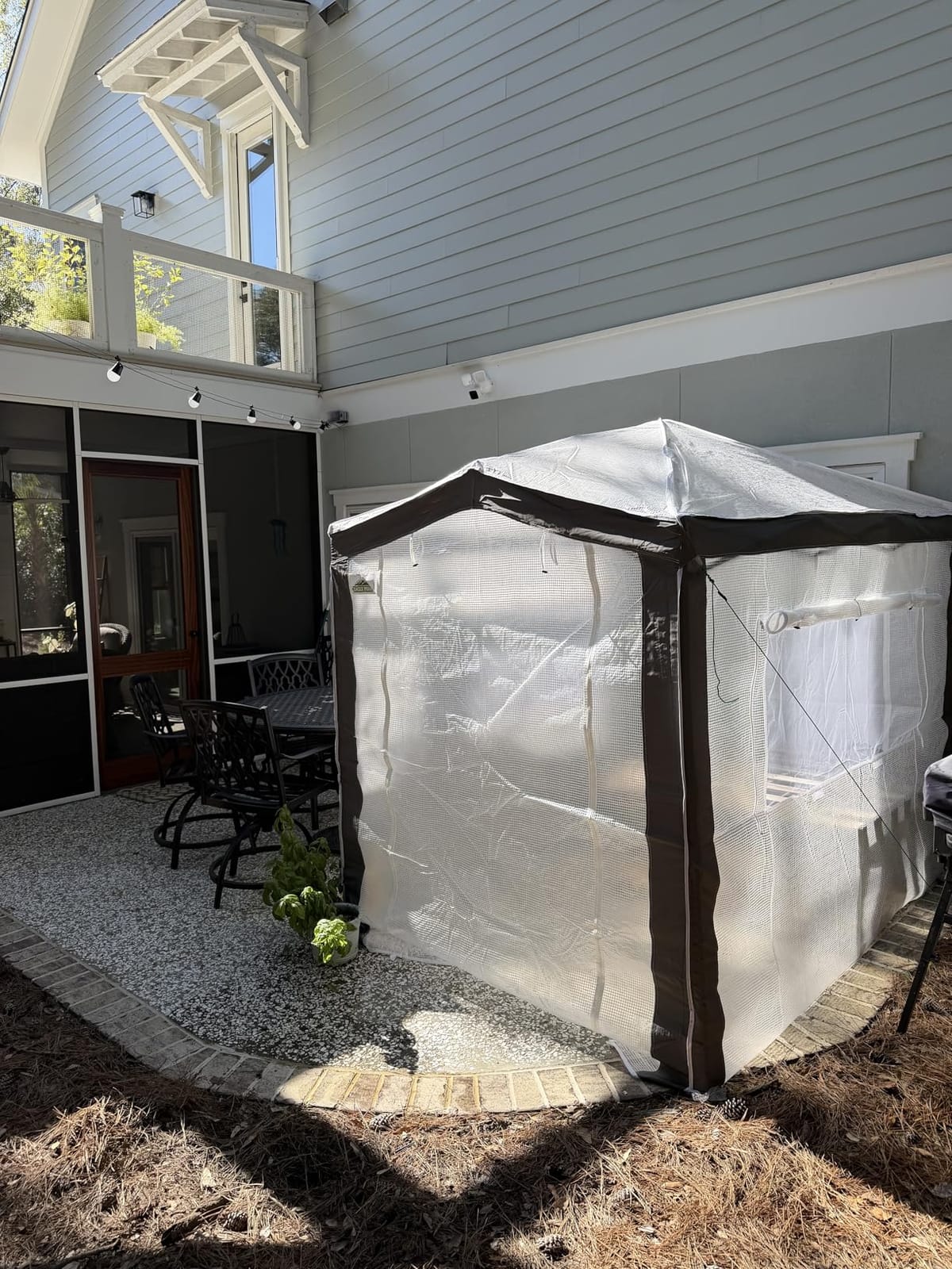 EAGLE PEAK 8x6 Portable Walk in Greenhouse with Polyester Reinforced Corners, Instant Pop Up Indoor Outdoor Gardening Green House, Roll Up Zipper Entry Doors and Mesh Windows, Gray/White customer photo 2