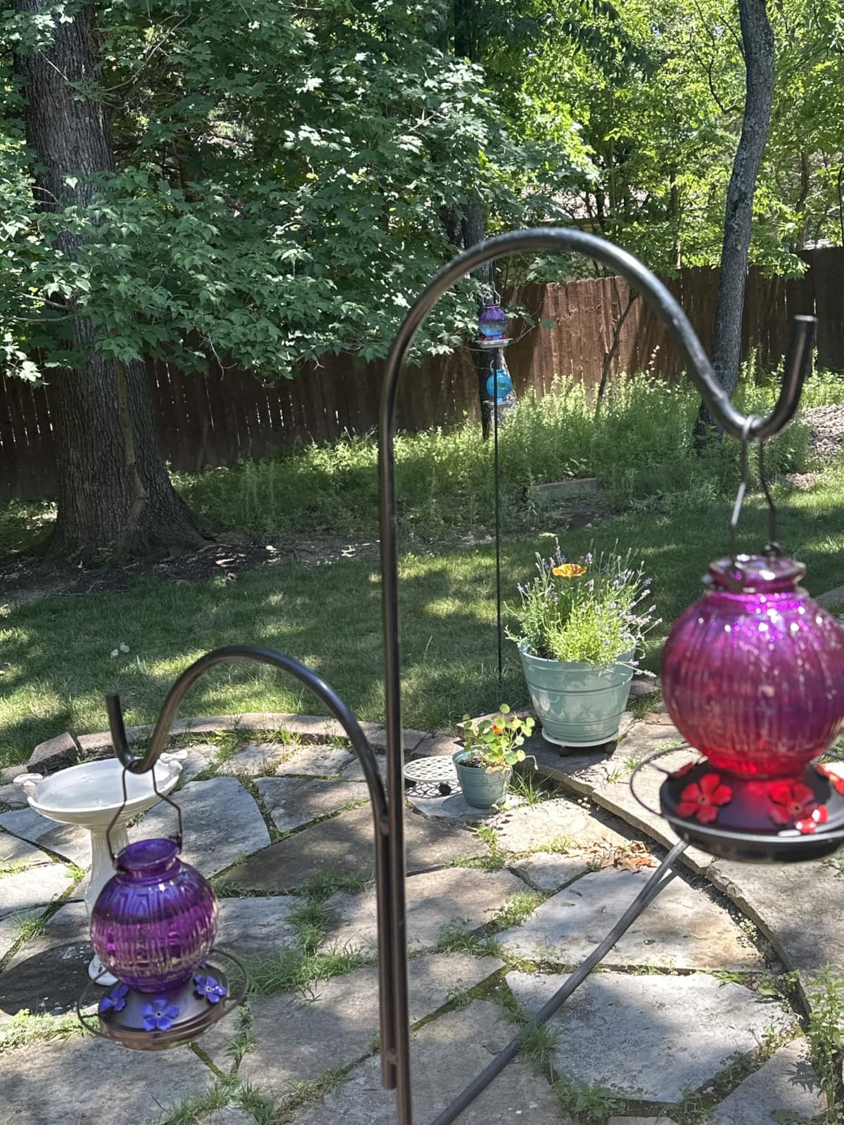 Glass Hummingbird Feeder for Outdoors Hanging, 26Oz Bird Nectar Feeder with Perch & 5 Flower Feeding Ports, Leak Proof for Outside Garden Decor Backyard, Gifts for Women Mom, Red customer photo 1