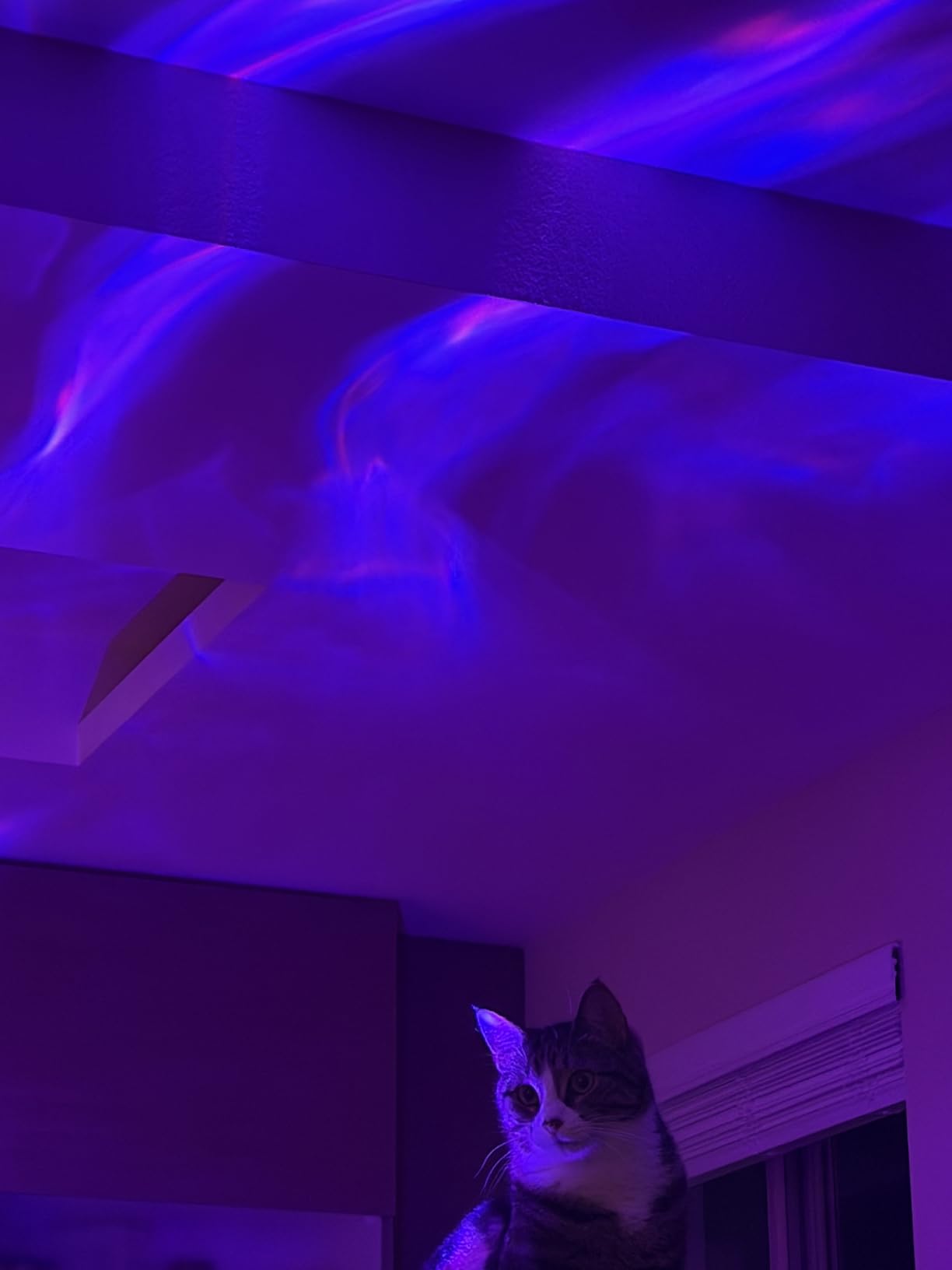 Galaxy Projector Night Light Projector Teen Girl Gifts Trendy Stuff,18-Color Lava Lamp LED Lights for Bedroom Mood Ambient Lighting,Birthday Gifts Northern Aurora Light Projector Dorm Decor Room Decor customer photo 1