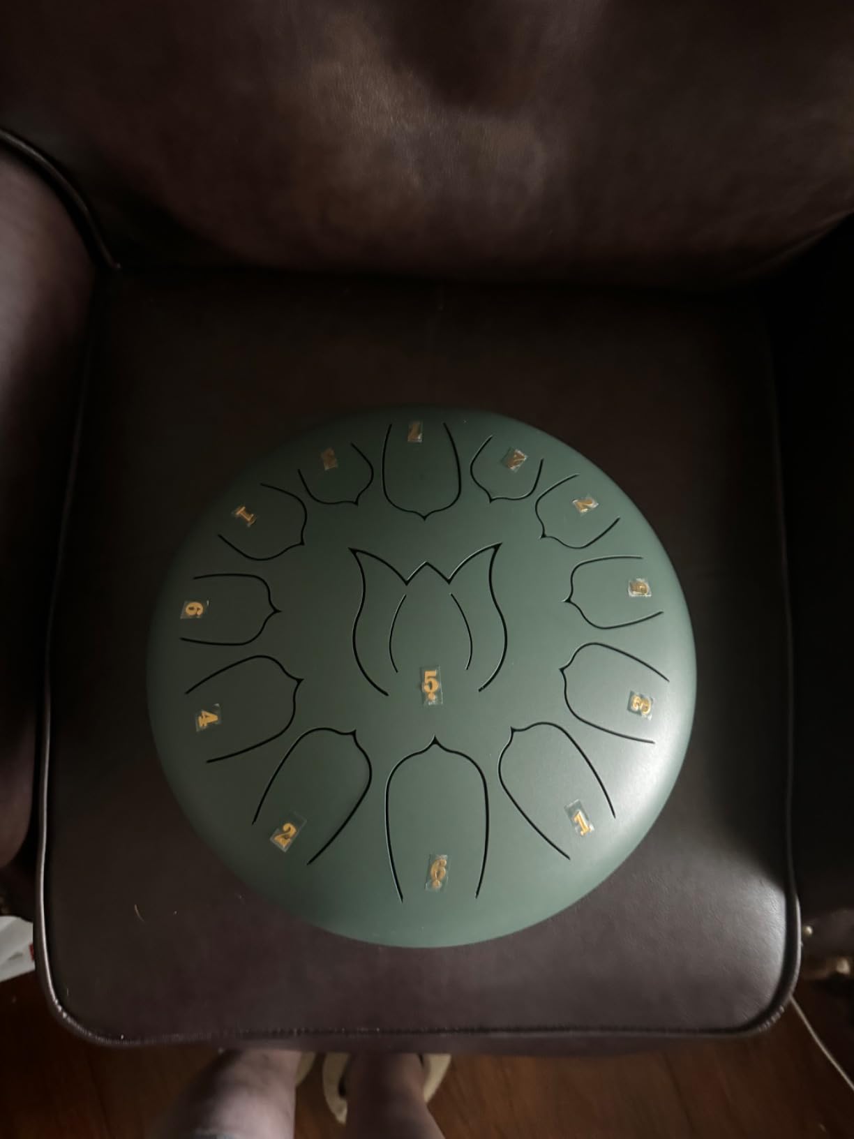 CAHAYA Steel Tongue Drum 12-Inch: 13 Notes Steel Percussion Hand Drum with Music Score Drum Mallets Finger Paddles and Carry Bag for Meditation Entertainment Musical Education Sage Green customer photo 2