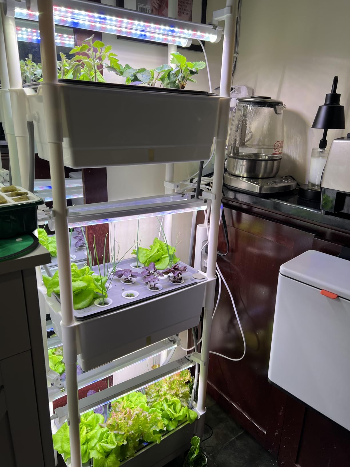 Hydroponics Growing System,AOONEG 42Pods Indoor Herb Garden with LED Grow Light,Hydroponics Growing System Kit with Automatic Timer,Pump System,Adjustable Height (No Seed,Glossy White, 3Layer-42Pods) customer photo 1