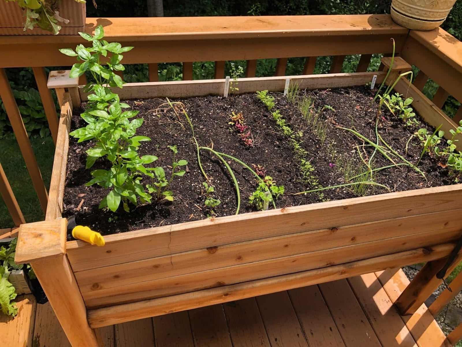 Original Cedar Elevated Garden Bed, 24