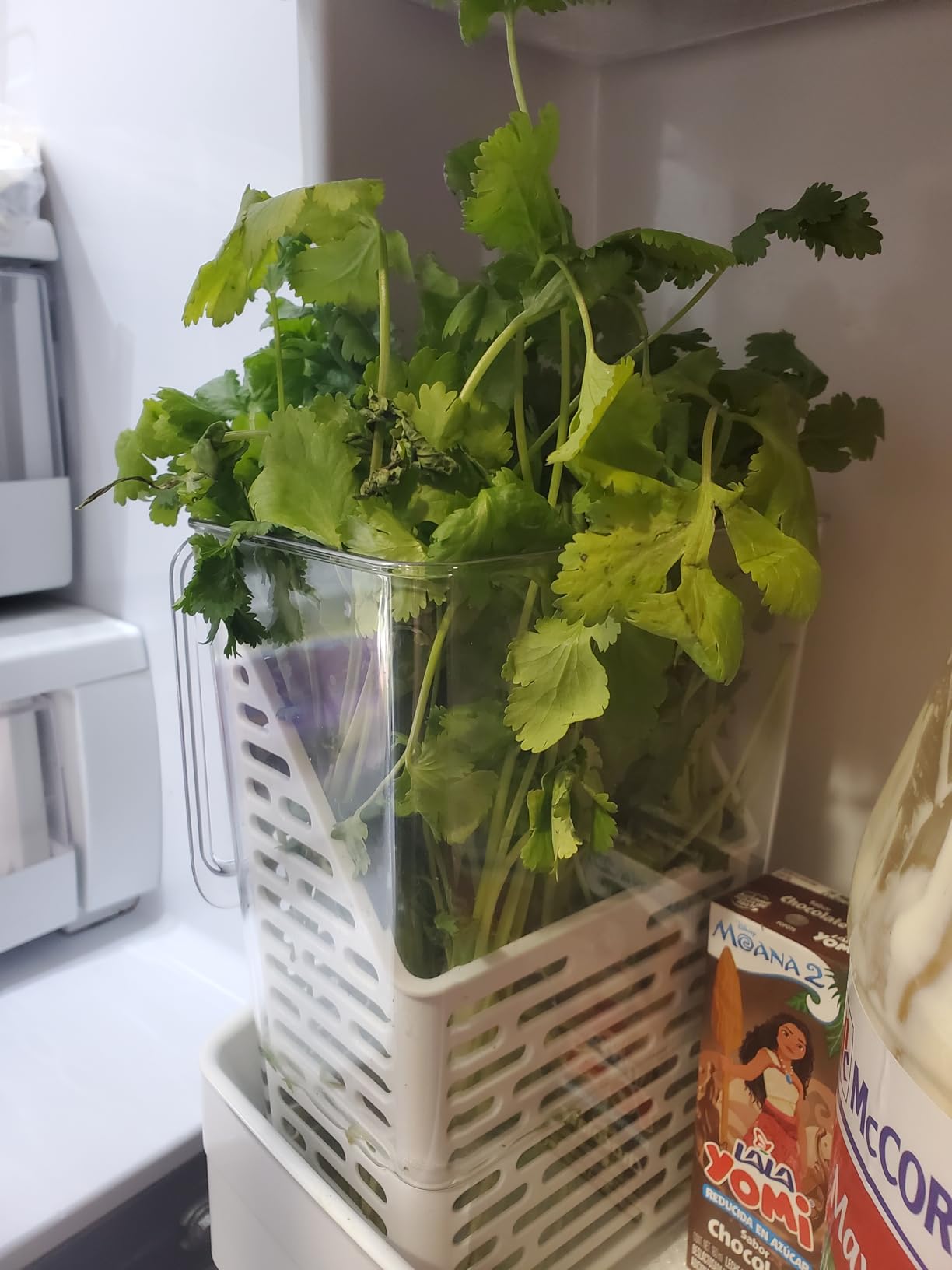OXO Good Grips Produce Saver - Herb Keeper, Fridge Organizers and Storage with Ventilation and Water Fill Line customer photo 2